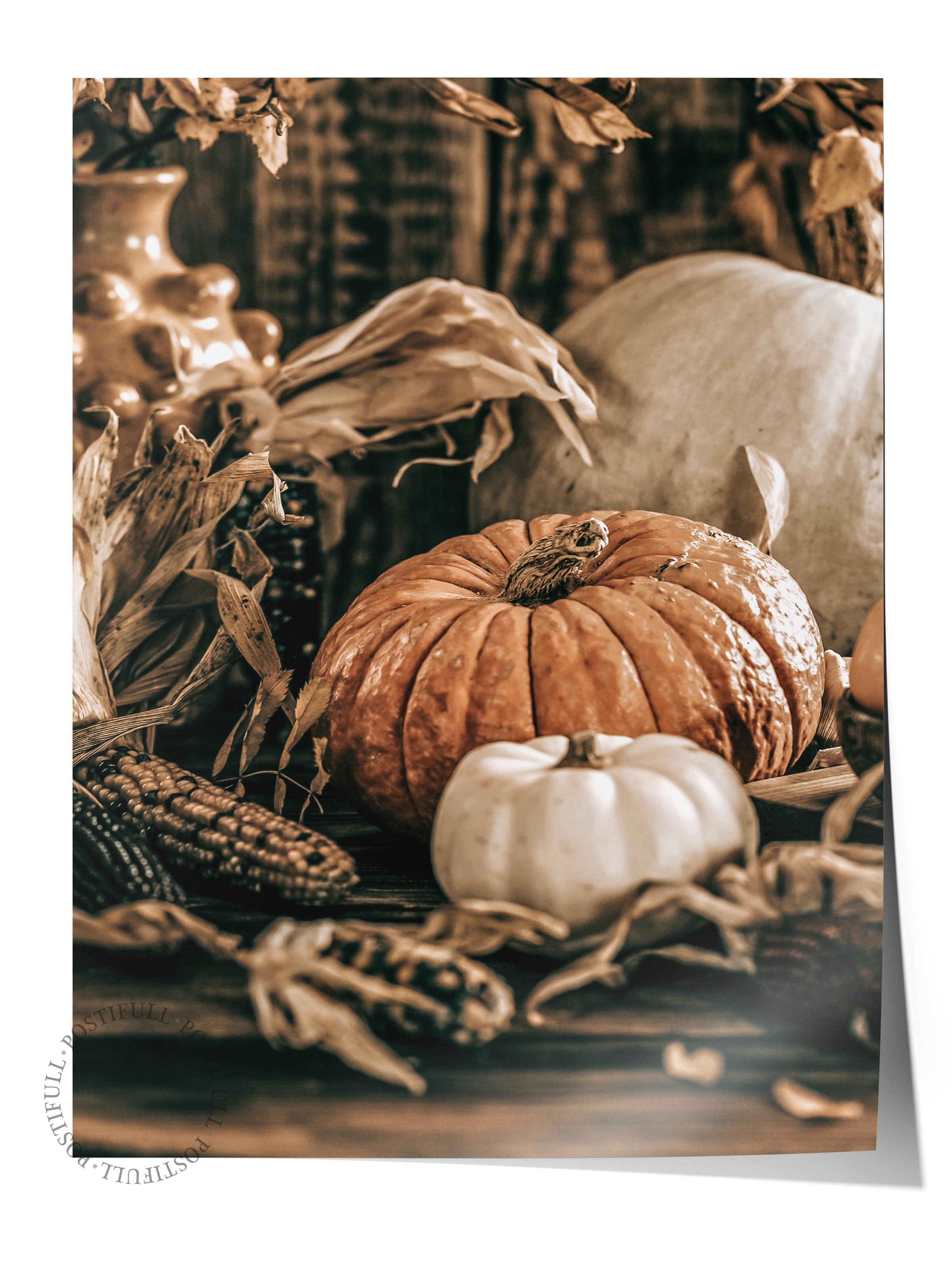 Rustic Çerçevesiz Poster, İskandinav Turuncu Poster, NO:479 Balkabakları Fotoğraf