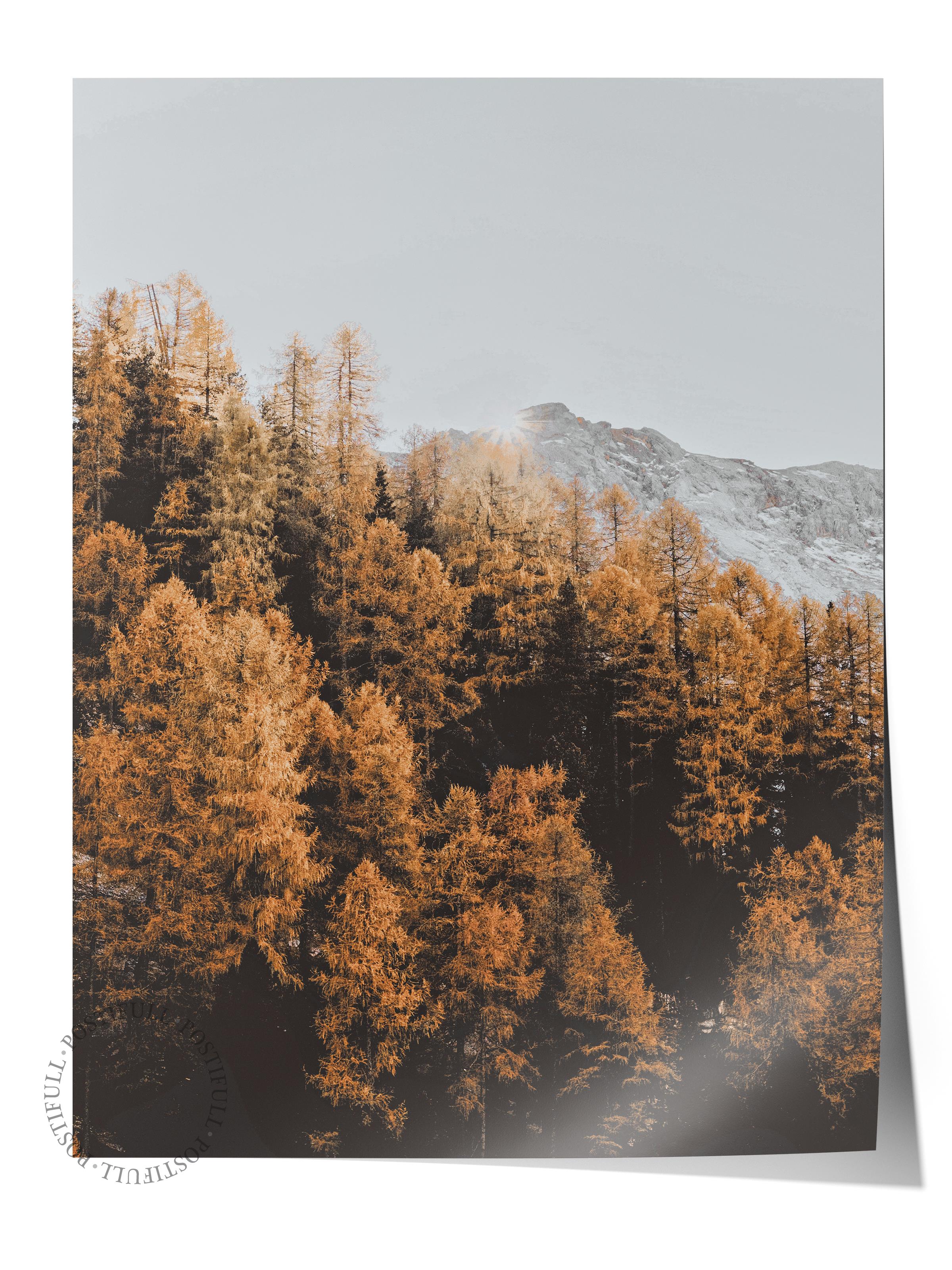 Rustic Çerçevesiz Poster, İskandinav Turuncu Poster, NO:6 Sonbahar Ormanı ve Dağ Fotoğraf, Dikey