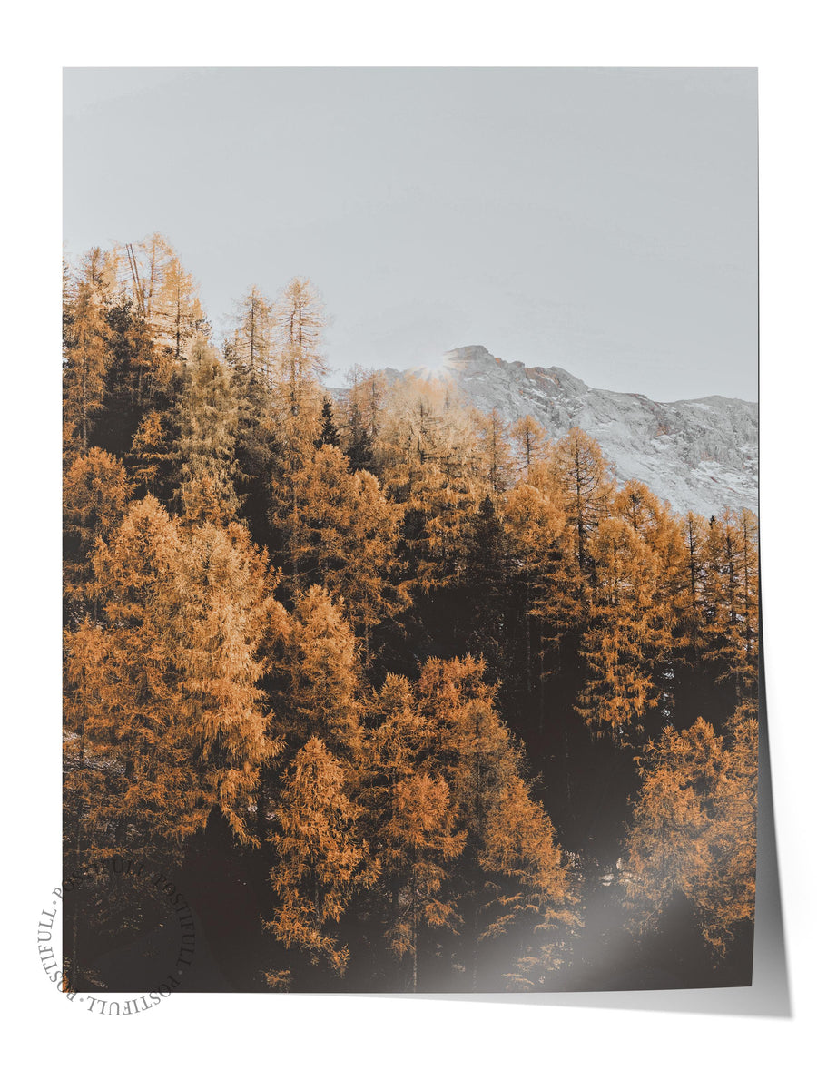 Sonbahar Ormanı ve Dağ Manzarası Rustic Çerçevesiz Poster