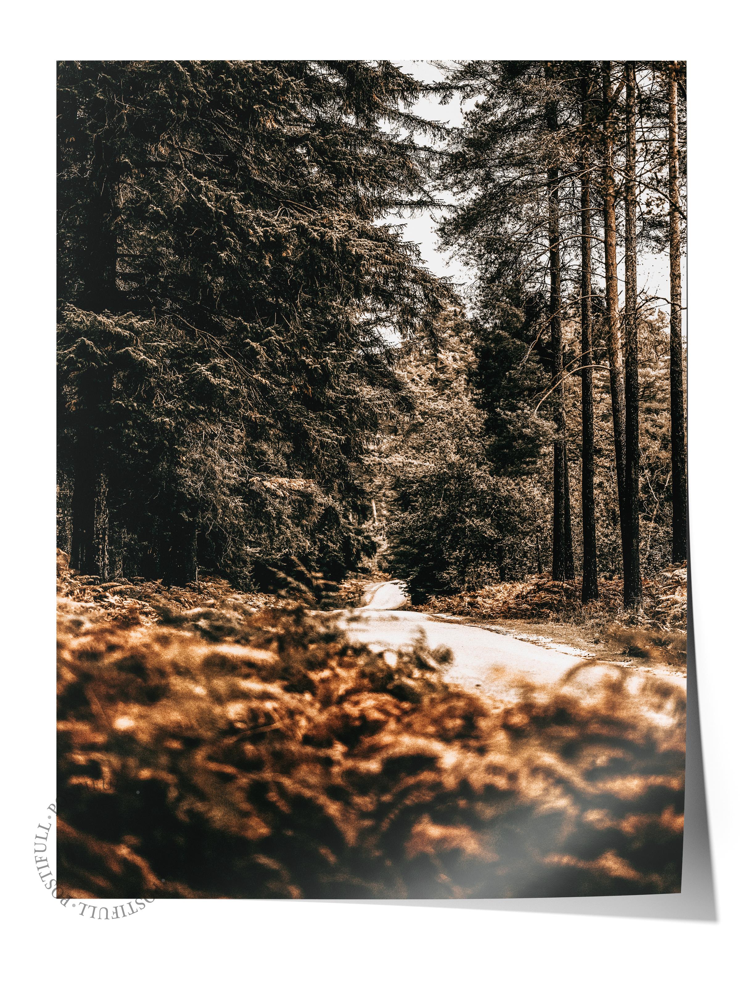 Rustic Çerçevesiz Poster, İskandinav Yeşil Poster, NO:2 Orman Yolu Fotoğraf, Dikey