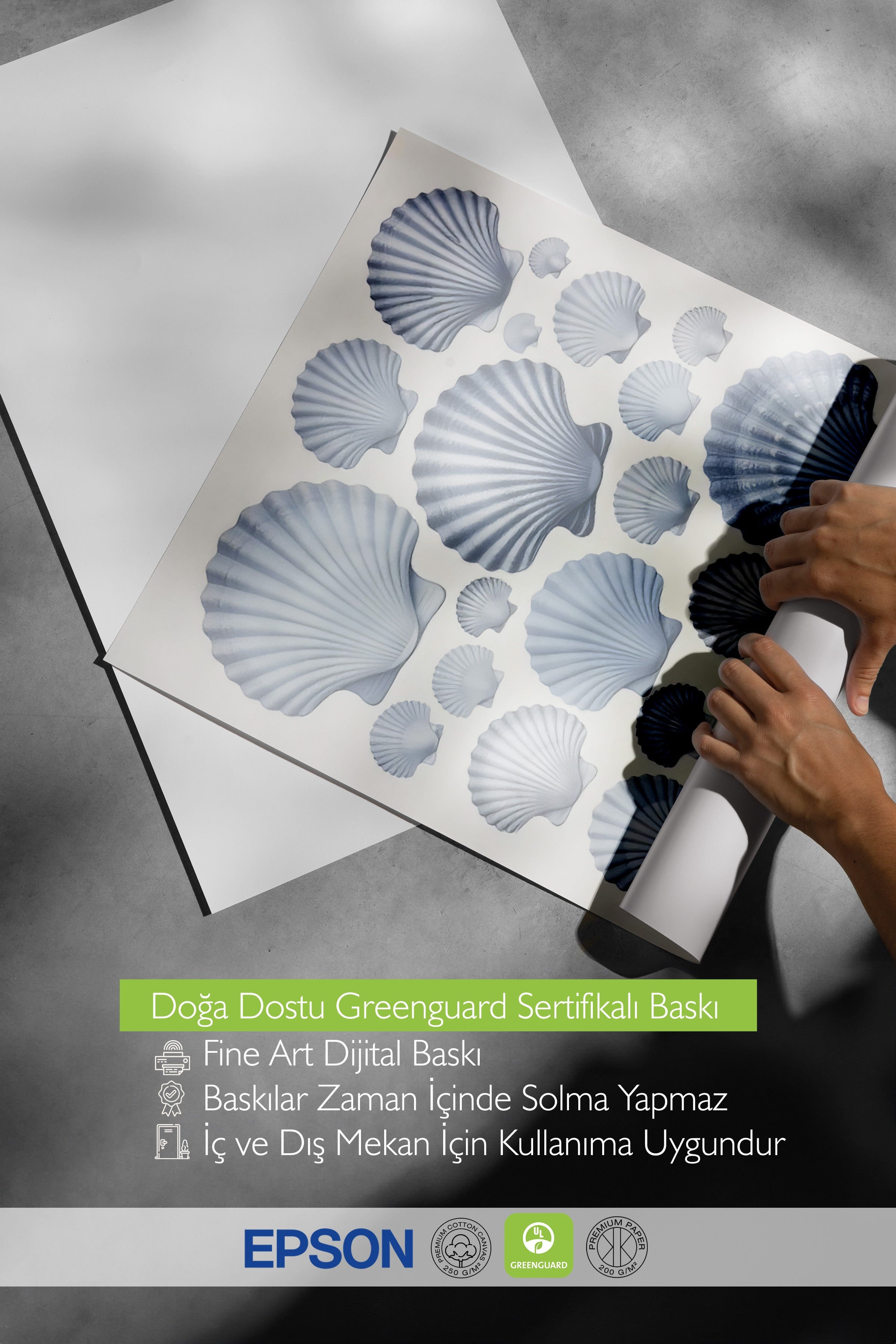 Siyah Çerçeveli Poster, Deniz Kabukları, İllüstrasyon, Mavi Renk Poster, 2025 Yaz Seçkisi, NO:109674