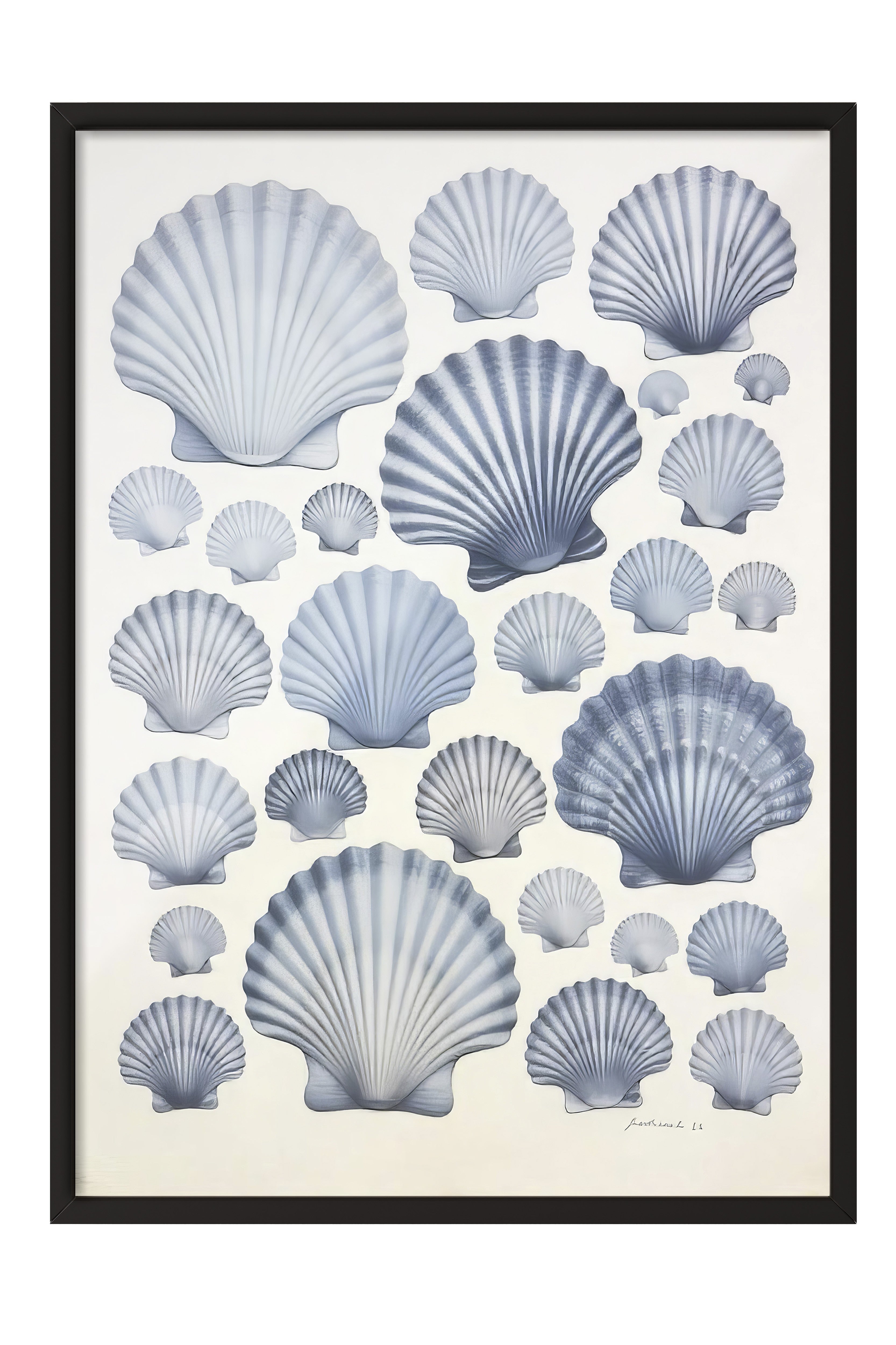 Siyah Çerçeveli Poster, Deniz Kabukları, İllüstrasyon, Mavi Renk Poster, 2025 Yaz Seçkisi, NO:109674