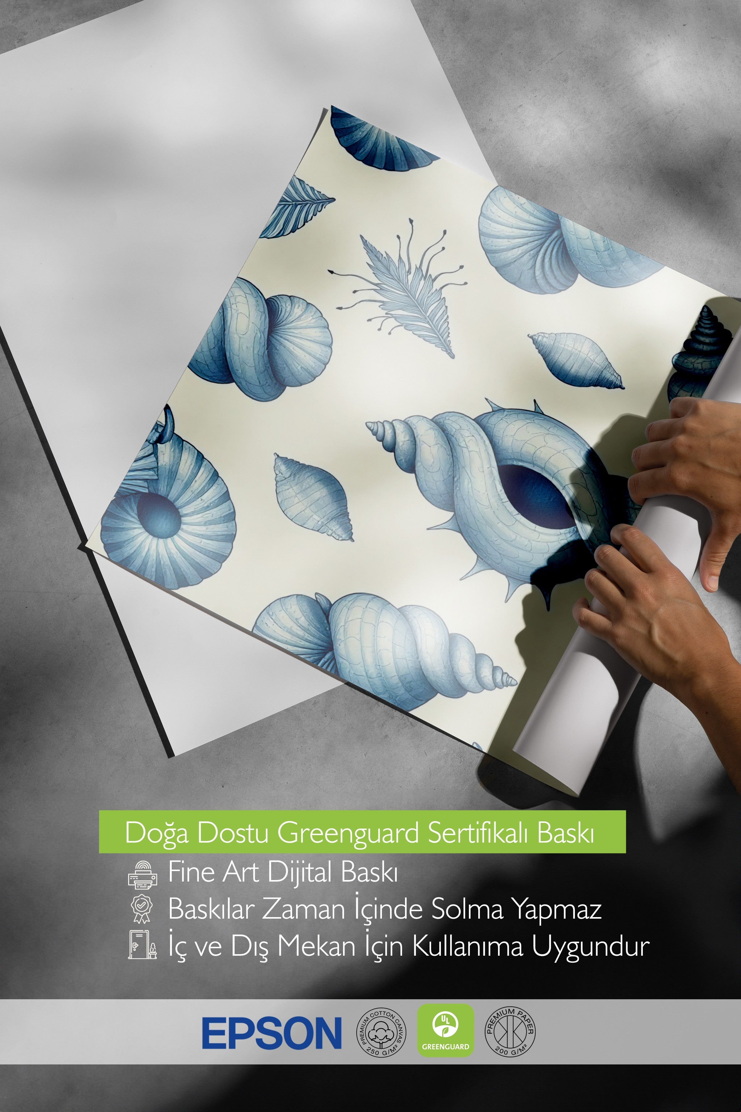 Siyah Çerçeveli Poster, Deniz Kabukları, İllüstrasyon, Mavi Renk Poster, 2025 Yaz Seçkisi, NO:109686