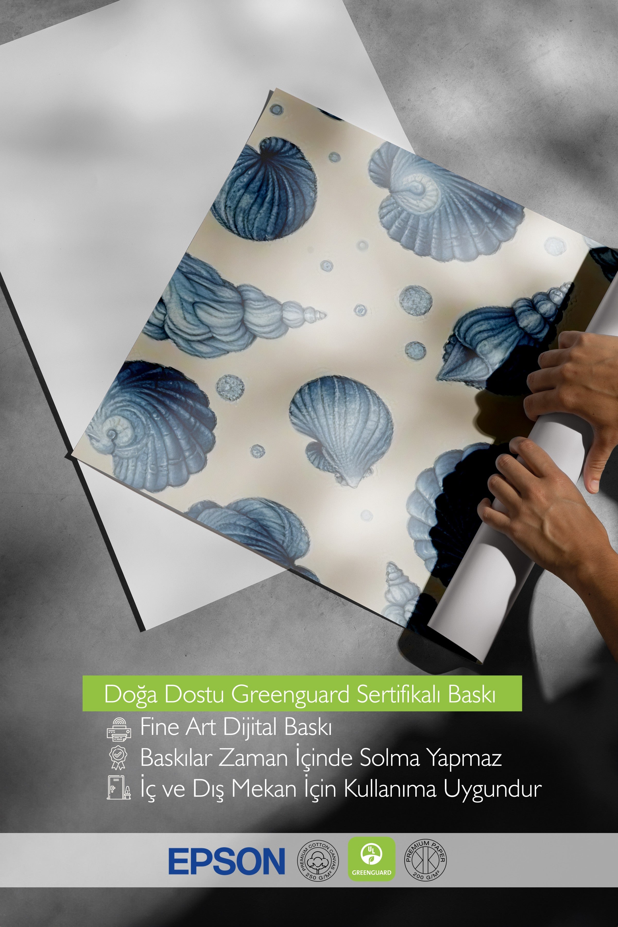 Siyah Çerçeveli Poster, Deniz Kabukları, İllüstrasyon, Mavi Renk Poster, 2025 Yaz Seçkisi, NO:109692
