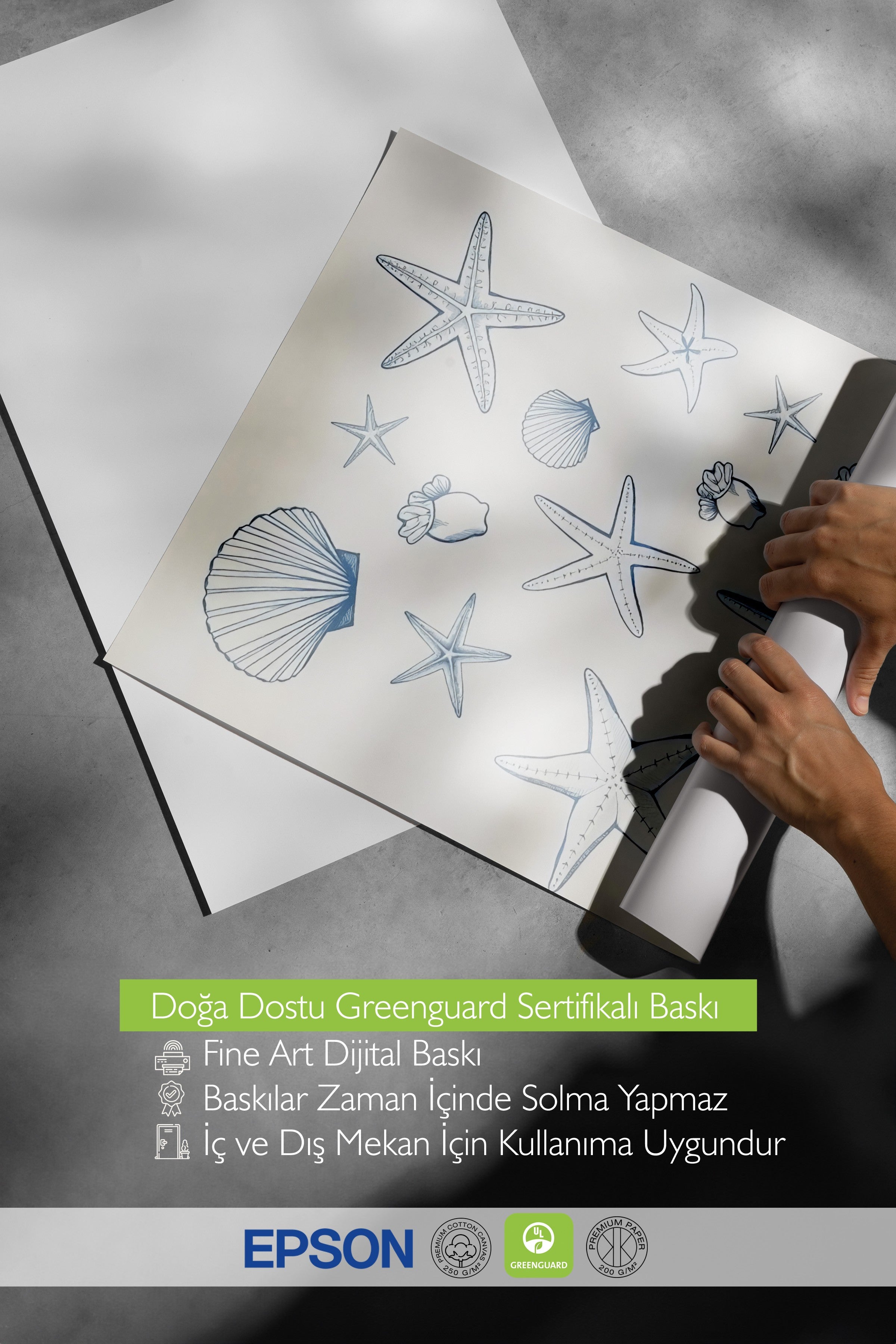 Siyah Çerçeveli Poster, Deniz Kabukları ve Yıldızlar, İllüstrasyon, Mavi Renk Poster, 2025 Yaz Seçkisi, NO:109690