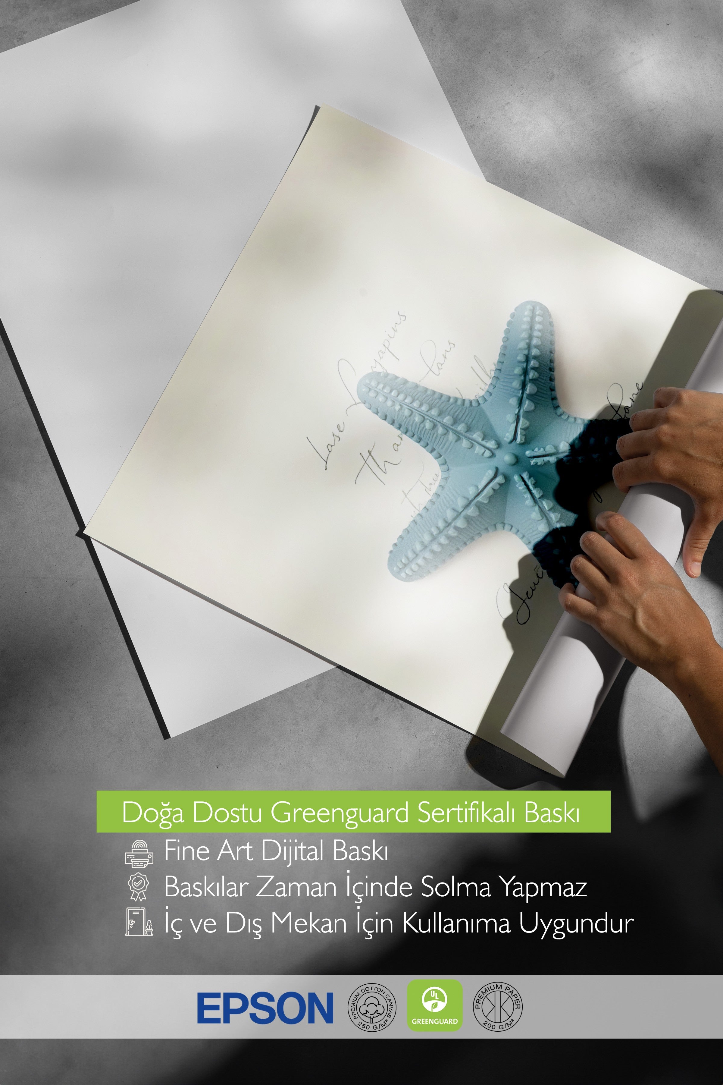 Siyah Çerçeveli Poster, Deniz Yıldızı, İllüstrasyon, Mavi Renk Poster, 2025 Yaz Seçkisi, NO:109620