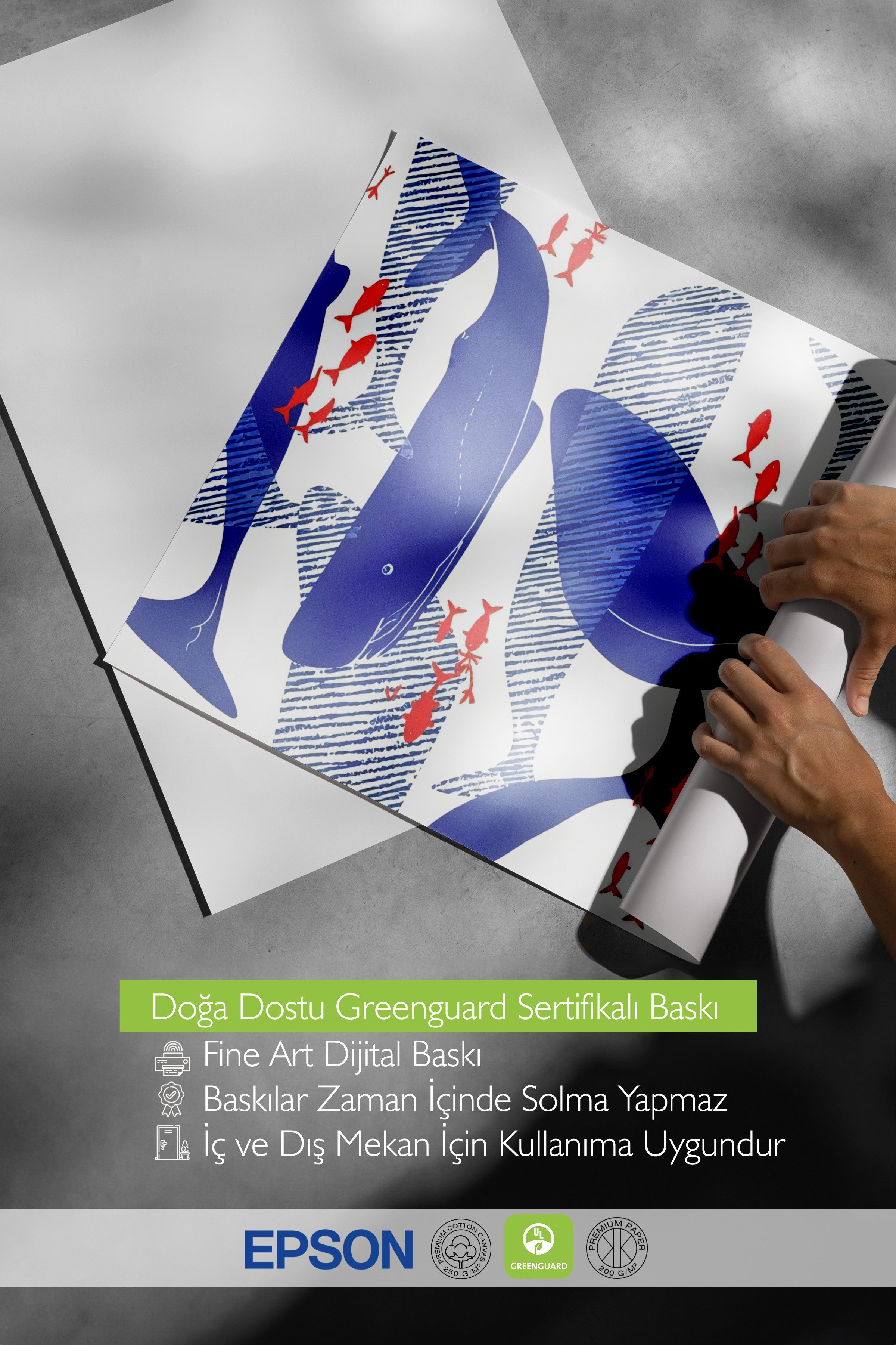 Siyah Çerçeveli Poster, Mavi Balinalar, İllüstrasyon, Mavi Renk Poster, 2025 Yaz Seçkisi, NO:109526