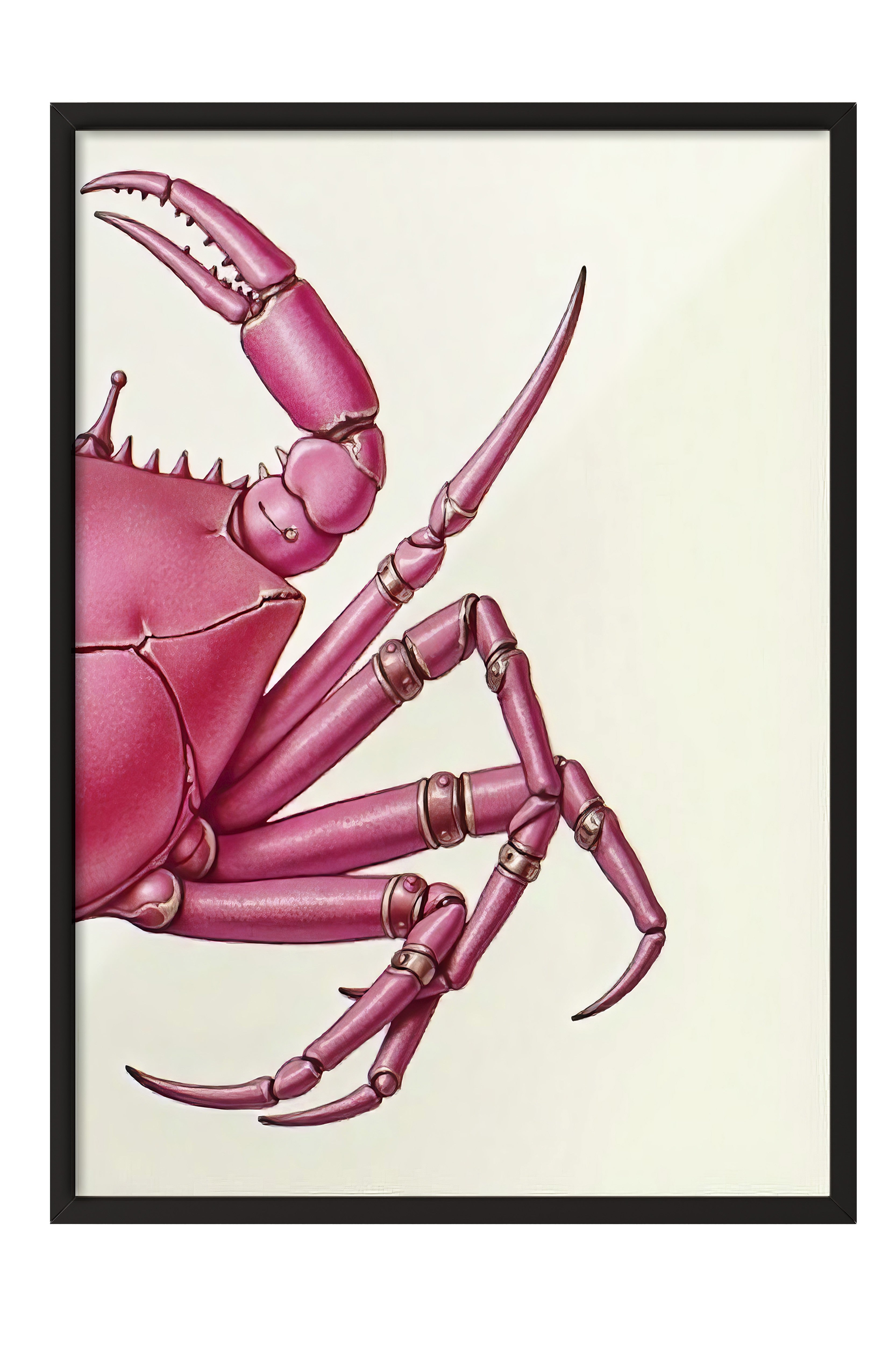 Siyah Çerçeveli Poster, Pembe Yengeç, İllüstrasyon, Pembe Renk Poster, 2025 Yaz Seçkisi, NO:109598