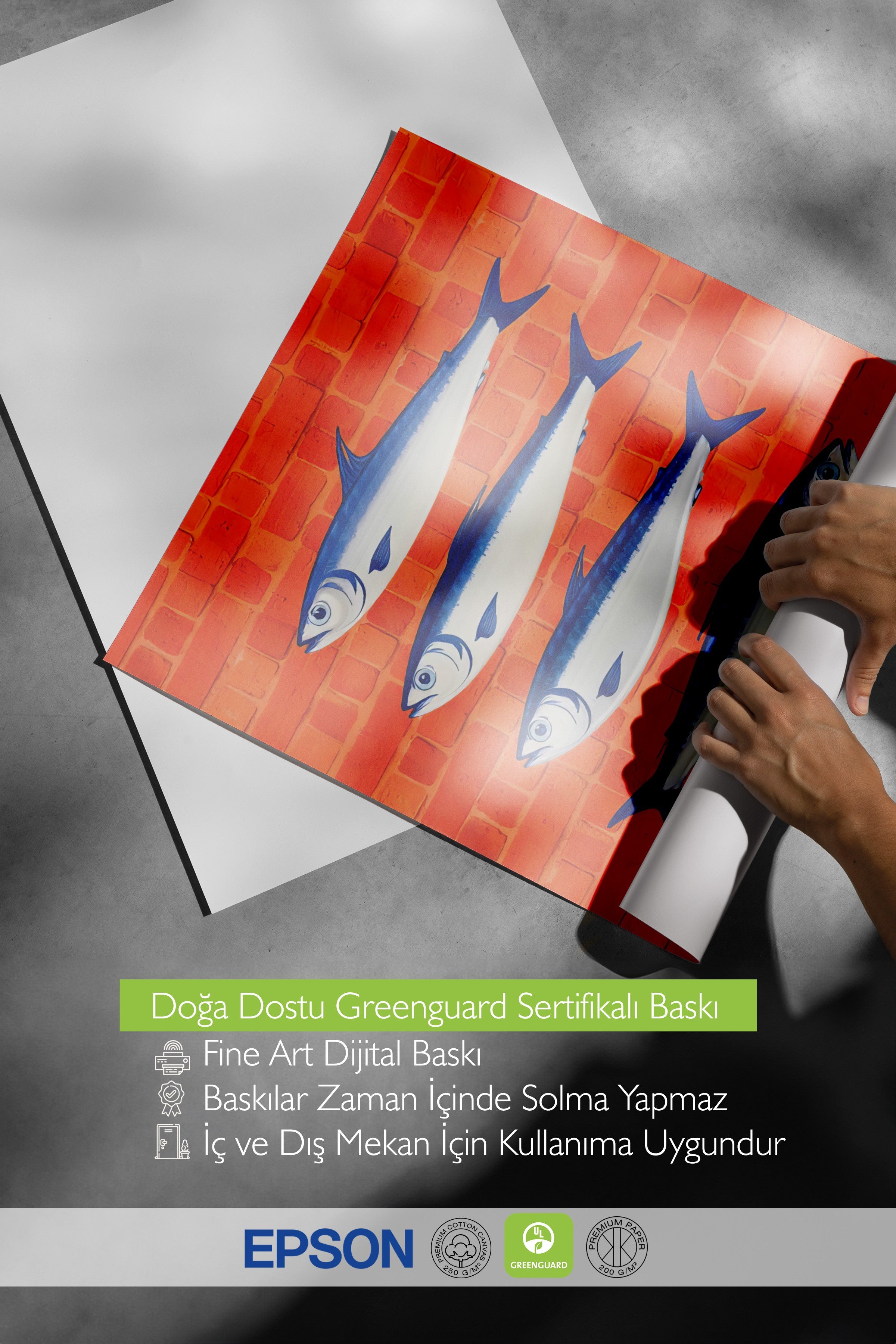Siyah Çerçeveli Poster, Sardunya Balığı, İllüstrasyon, Kırmızı Renk Poster, 2025 Yaz Seçkisi, NO:109533