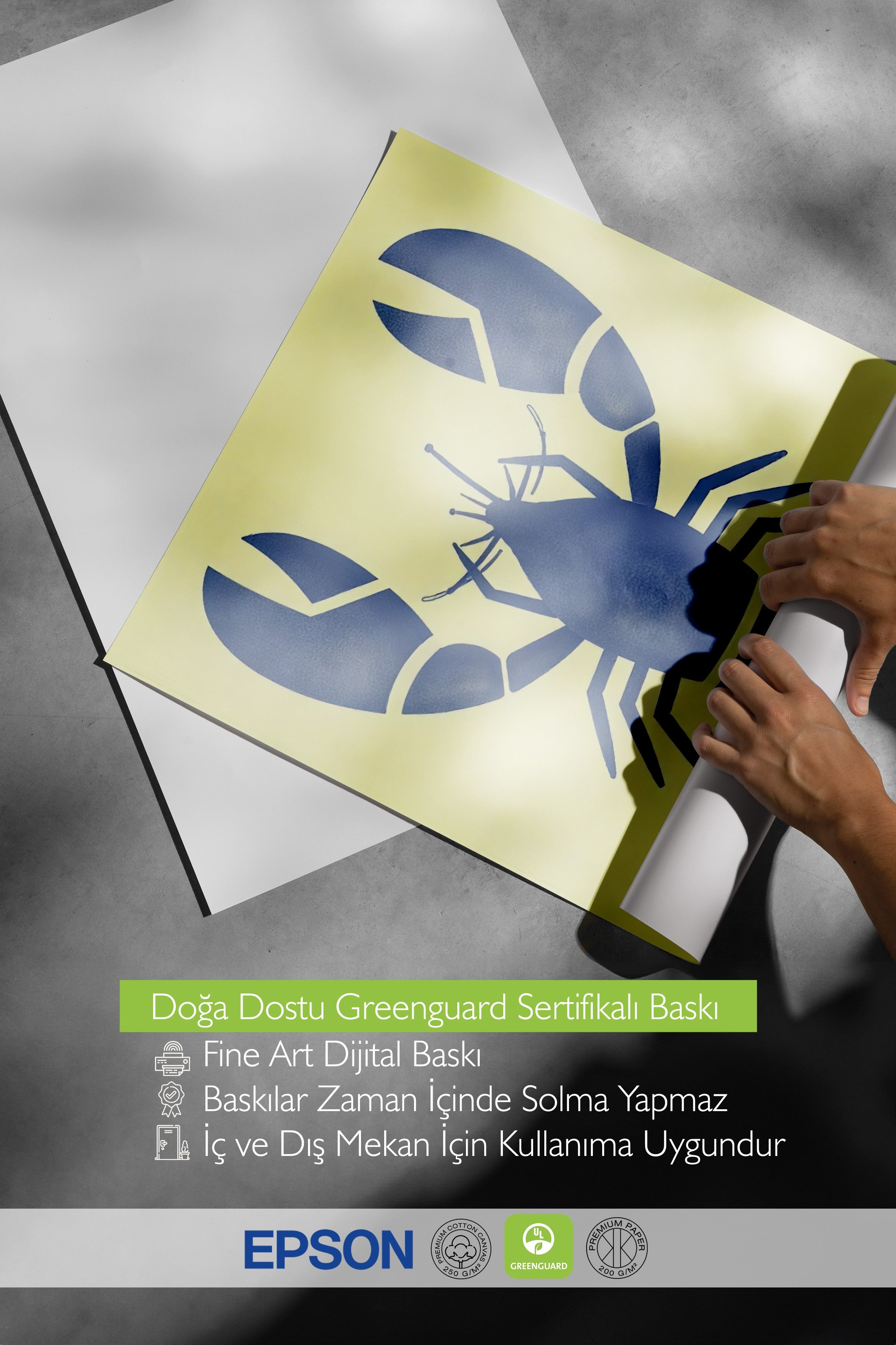 Siyah Çerçeveli Poster, Yengeç, İllüstrasyon, Mavi Renk Poster, 2025 Yaz Seçkisi, NO:109642