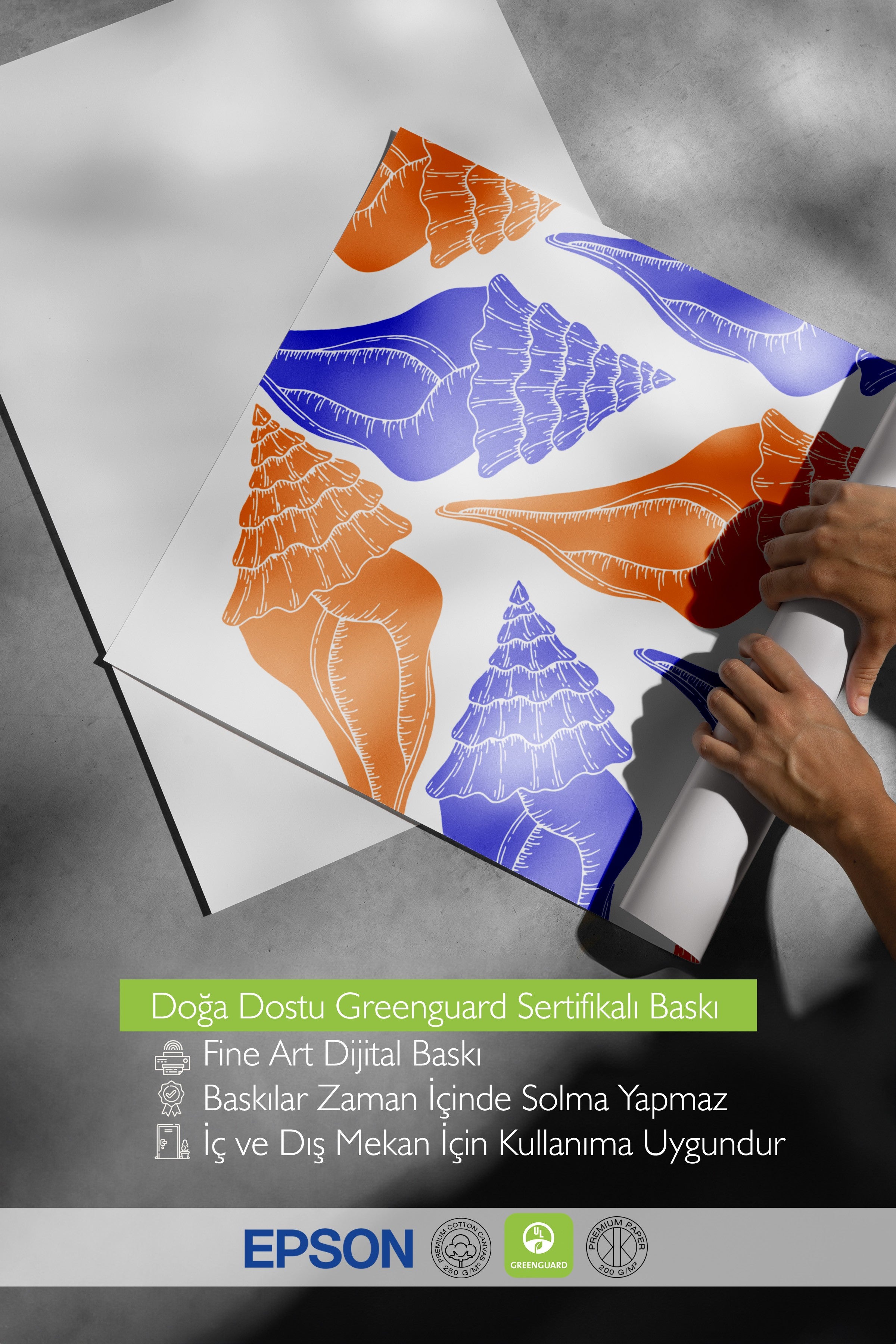 Siyah Çerçeveli Tablo, Deniz kabukları, Düz İllüstrasyon, Çağdaş, Turuncu, Mavi Renk Poster, 2025 Yaz Seçkisi, NO:109841
