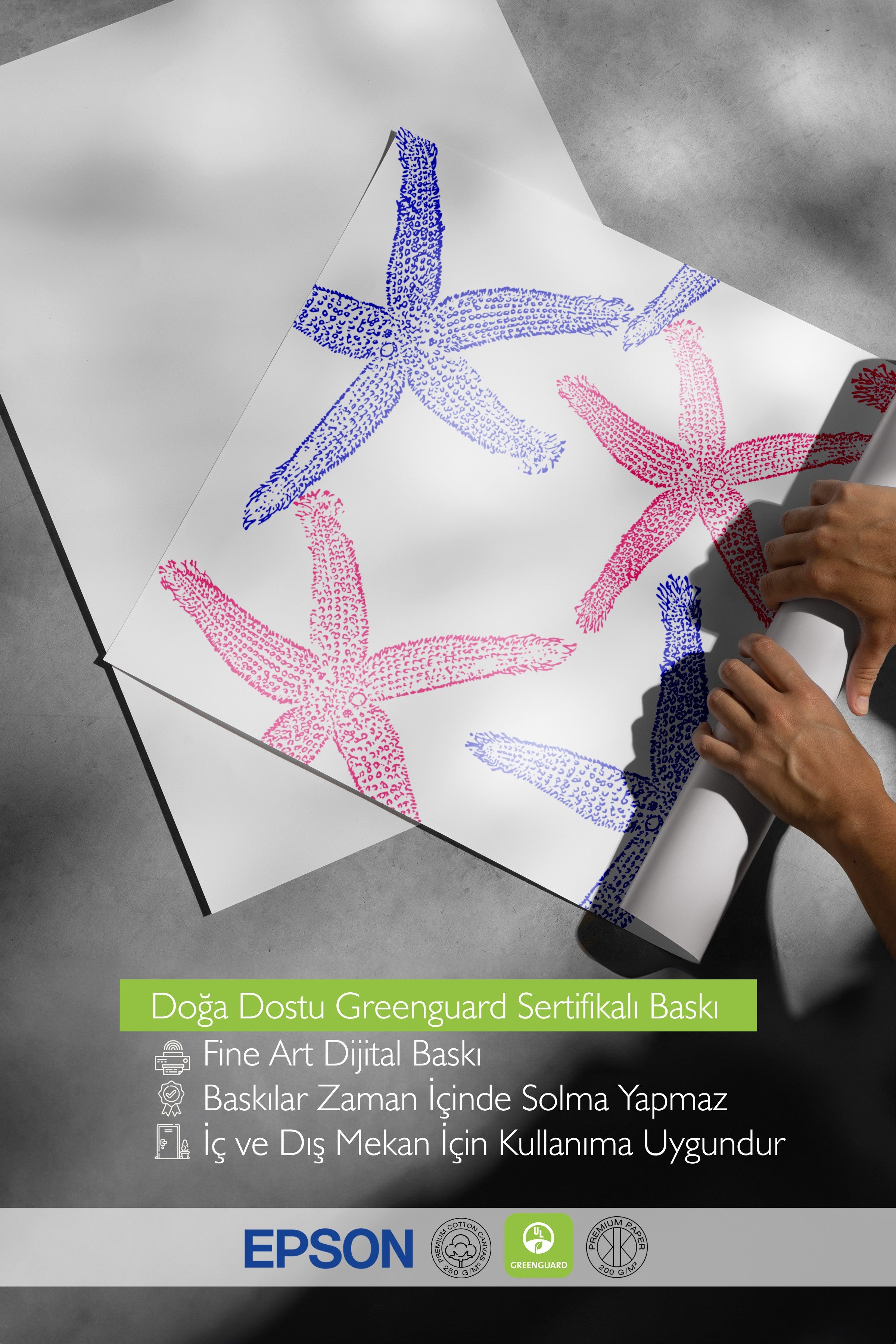Siyah Çerçeveli Tablo, Denizyıldızı, Düz İllüstrasyon, Mavi, Pembe Renk Poster, 2025 Yaz Seçkisi, NO:109838