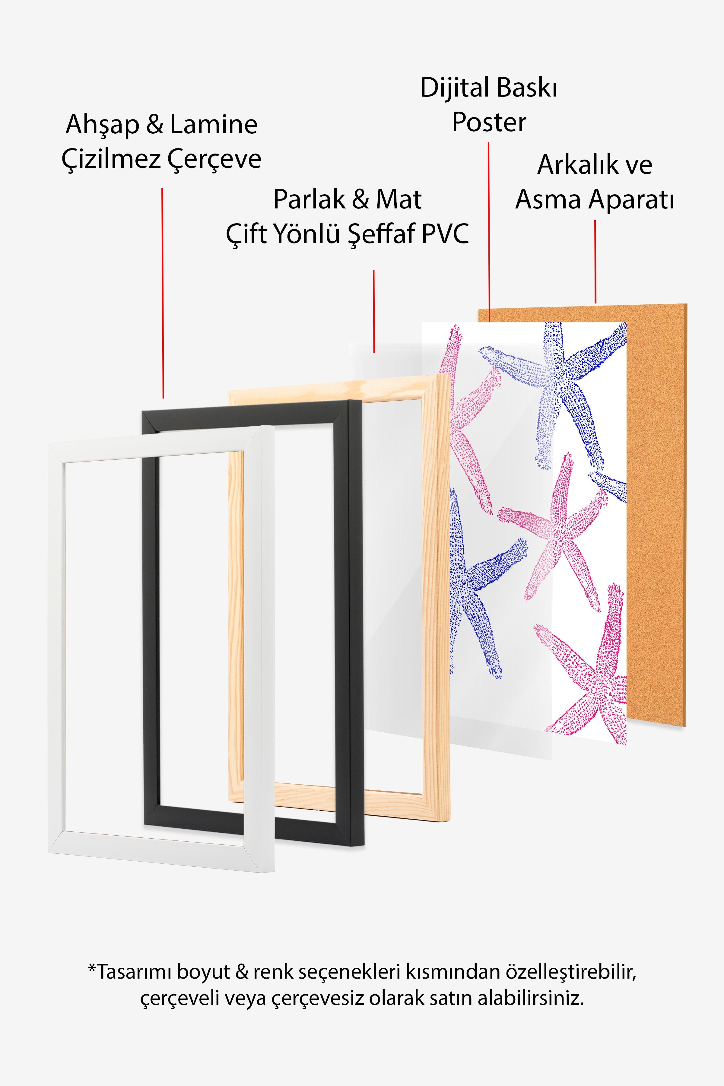 Siyah Çerçeveli Tablo, Denizyıldızı, Düz İllüstrasyon, Mavi, Pembe Renk Poster, 2025 Yaz Seçkisi, NO:109838
