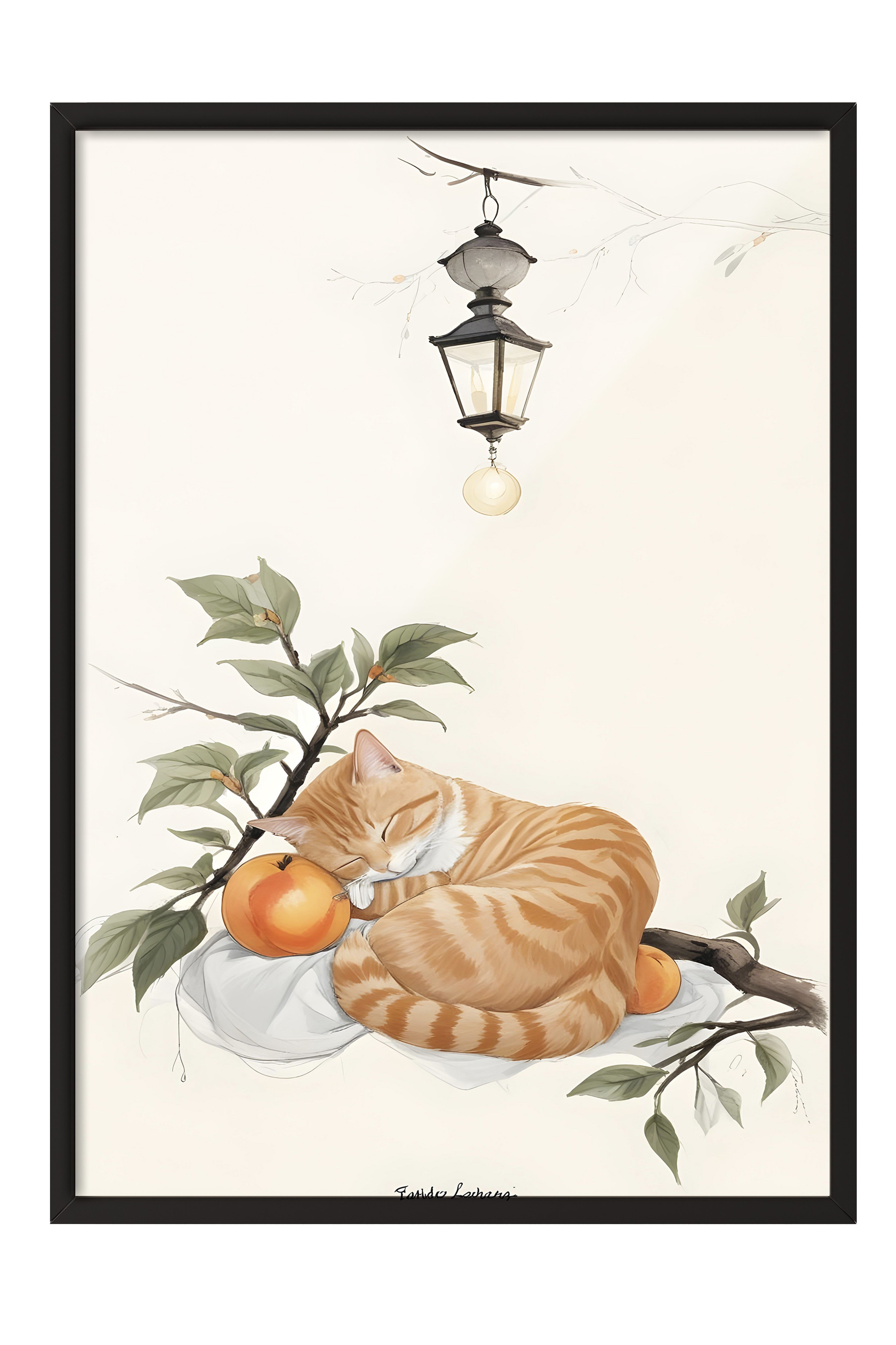 Siyah Çerçeveli Tablo, Orange cat Sleeping With Orange, Comfort Serisi Mutfak Duvar Tablosu, NO:109166
