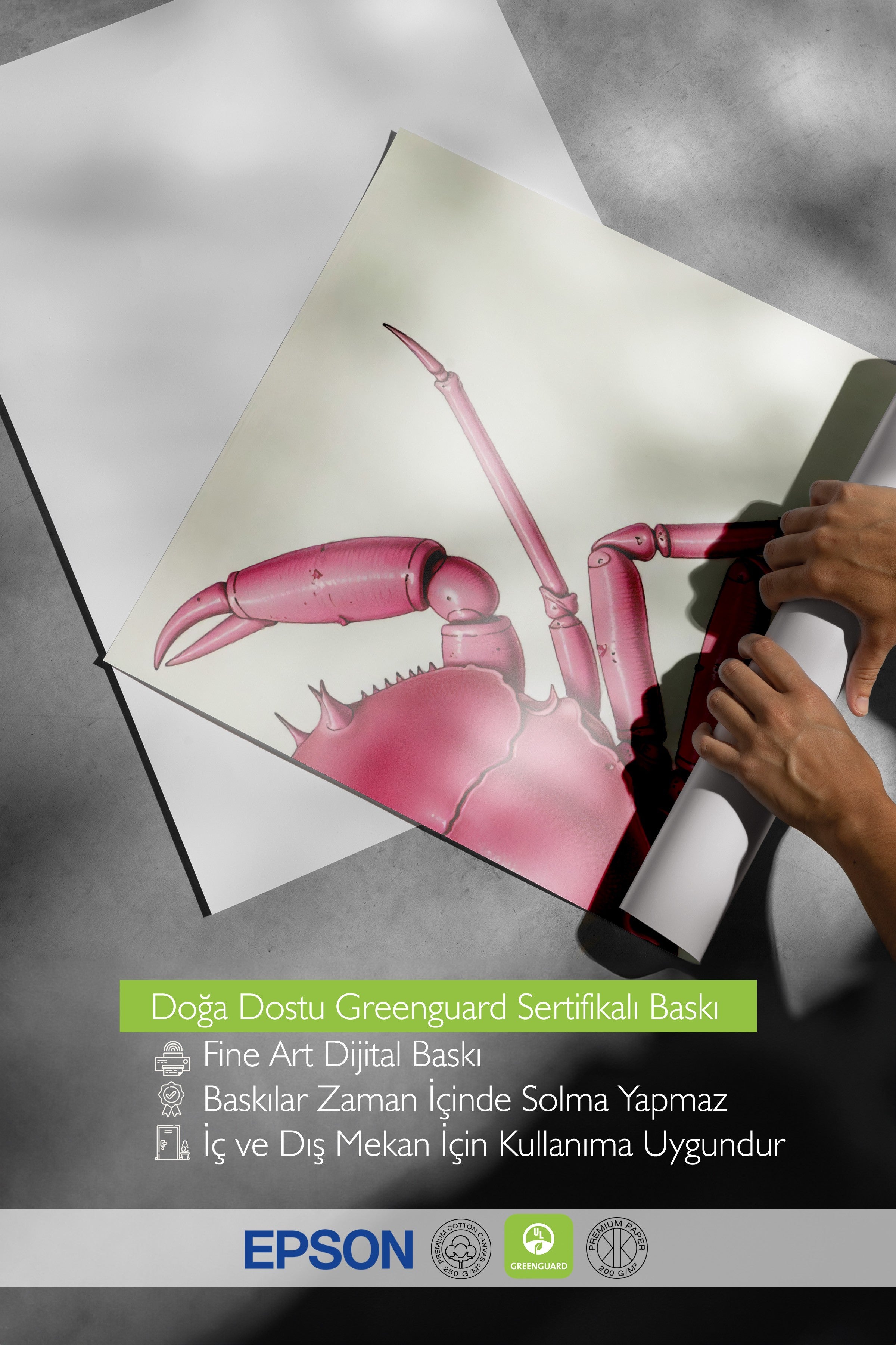Siyah Çerçeveli Tablo, Pembe Yengeç, İllüstrasyon, Pembe Renk Poster, 2025 Yaz Seçkisi, NO:109721