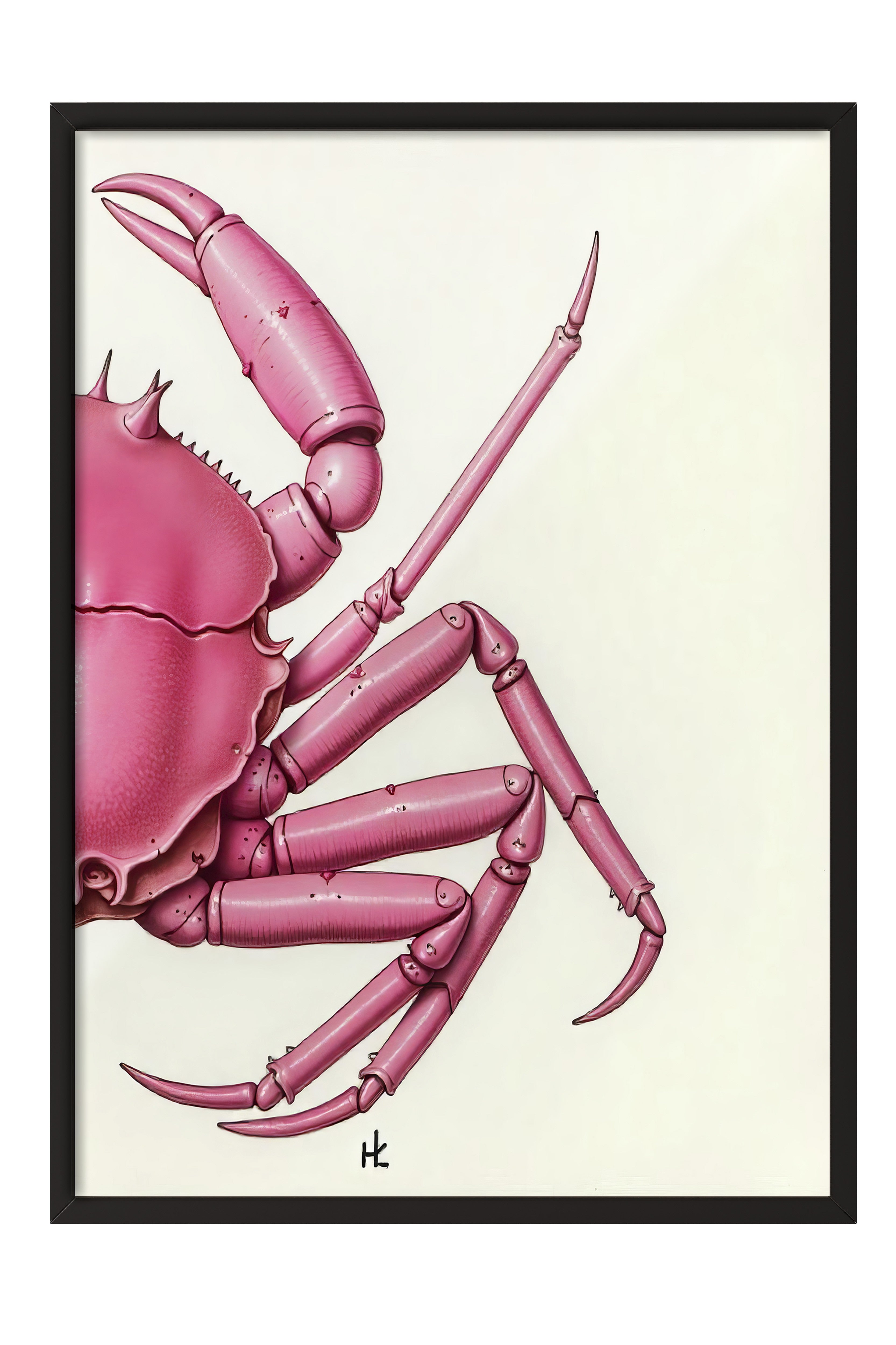 Siyah Çerçeveli Tablo, Pembe Yengeç, İllüstrasyon, Pembe Renk Poster, 2025 Yaz Seçkisi, NO:109721