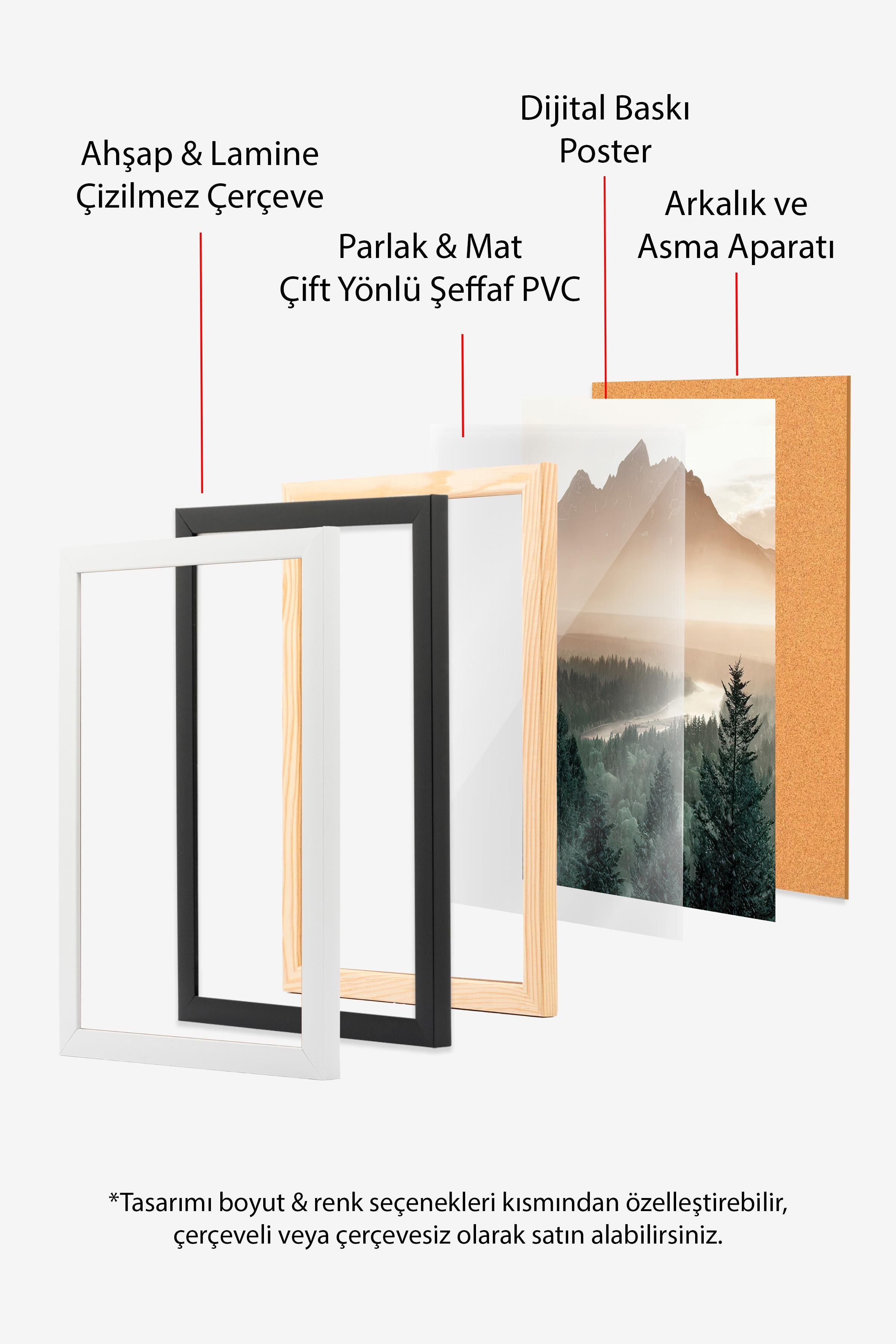 Siyah Çerçeveli Tablo, Poster ve Çerçeve Seti, Light Koi Comfort Serisi NO:108695