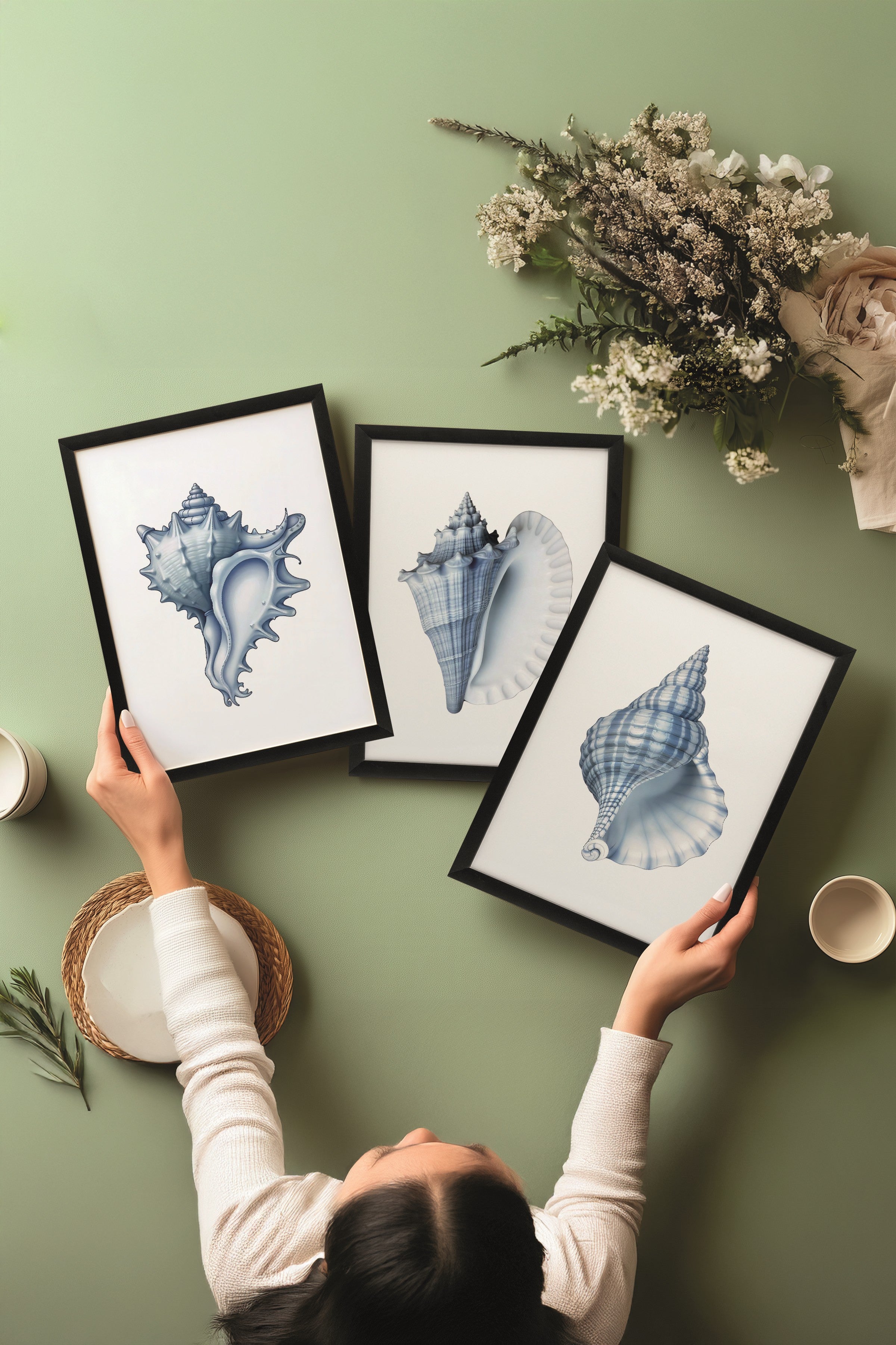 Siyah Tablo Seti, 3 Adet Siyah Çerçeveli Poster seashells Model No:300838, Mavi Duvar Dekoru