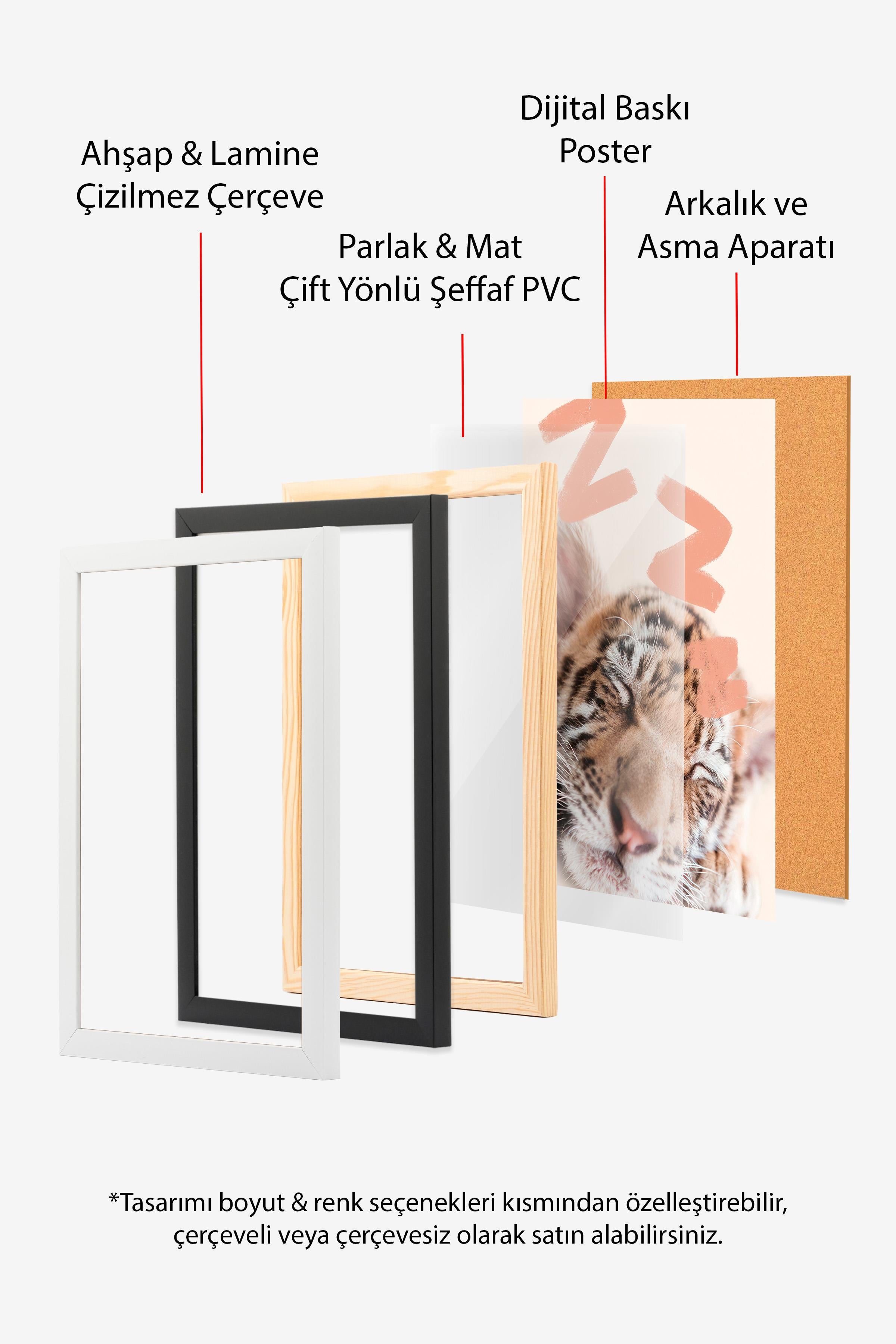 Sleeping Baby Tiger Çerçeveli Tablo, Beyaz Çerçeve ve Poster, Duvar Tablosu Comfort Serisi NO:108441