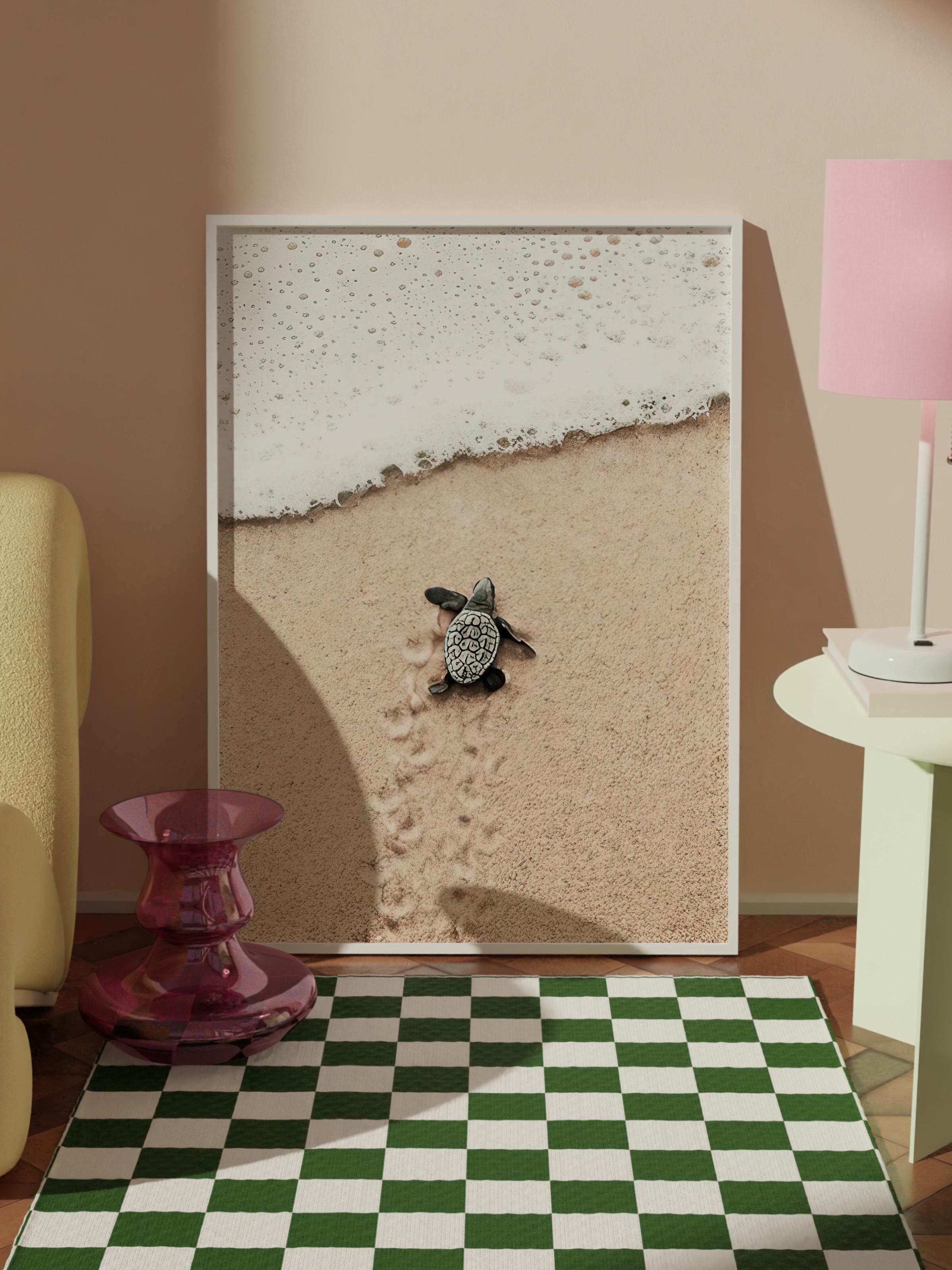 Small Beach Turtle Çerçeveli Tablo, Beyaz Çerçeve ve Poster, Duvar Tablosu Comfort Serisi NO:108420