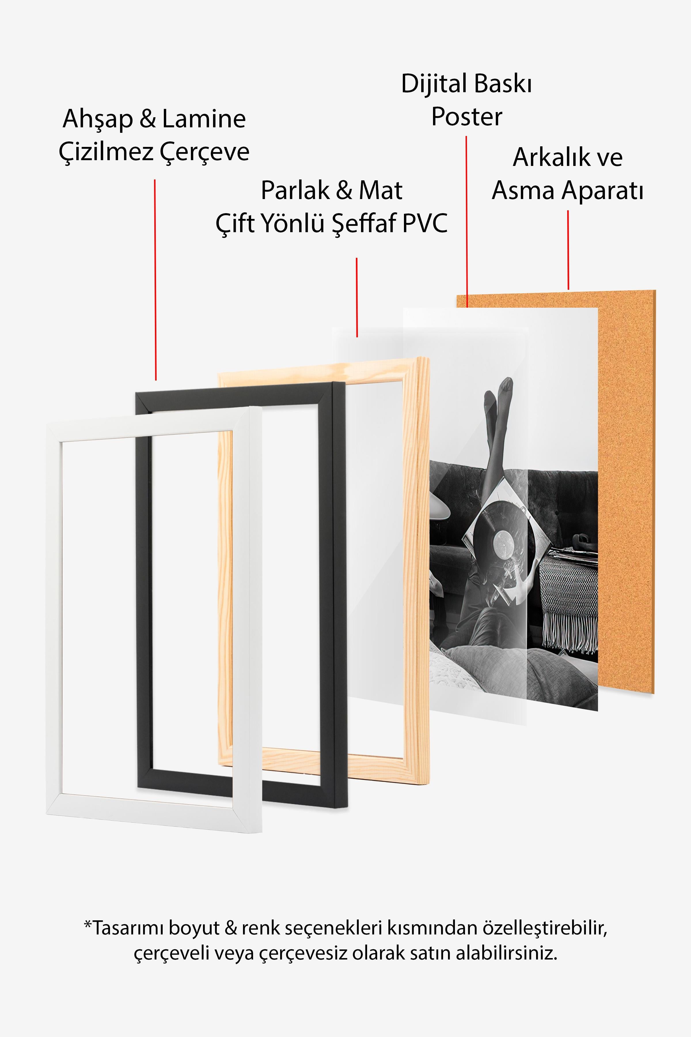 Smoky Vinyl Record Çerçeveli Tablo, Beyaz Çerçeve ve Poster, Duvar Tablosu Comfort Serisi NO:108395