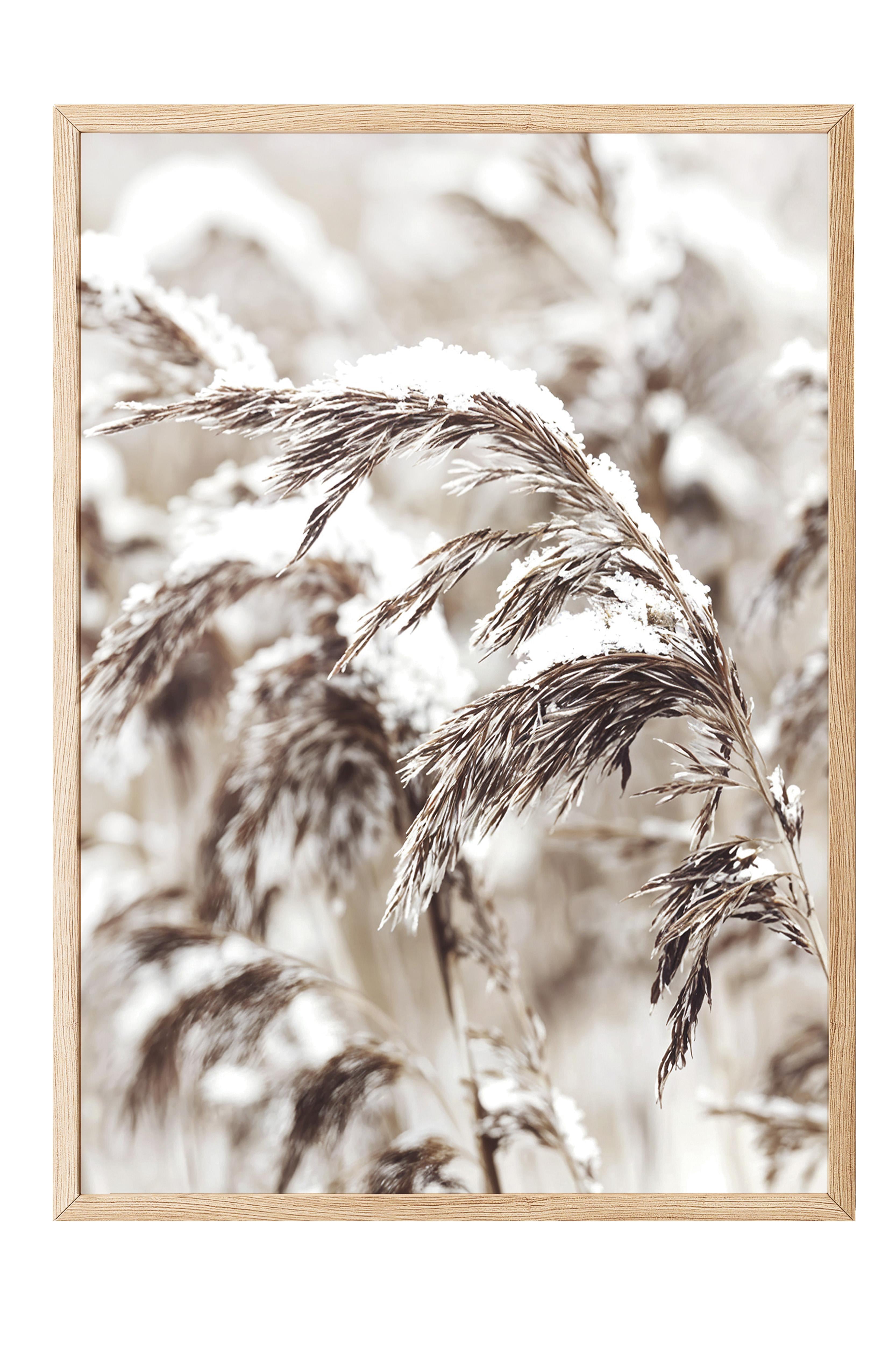 Snowy Reed Yılbaşı Tablo, Ahşap Çerçeve ve Poster, Dikey Duvar Tablosu Comfort Serisi NO:108411