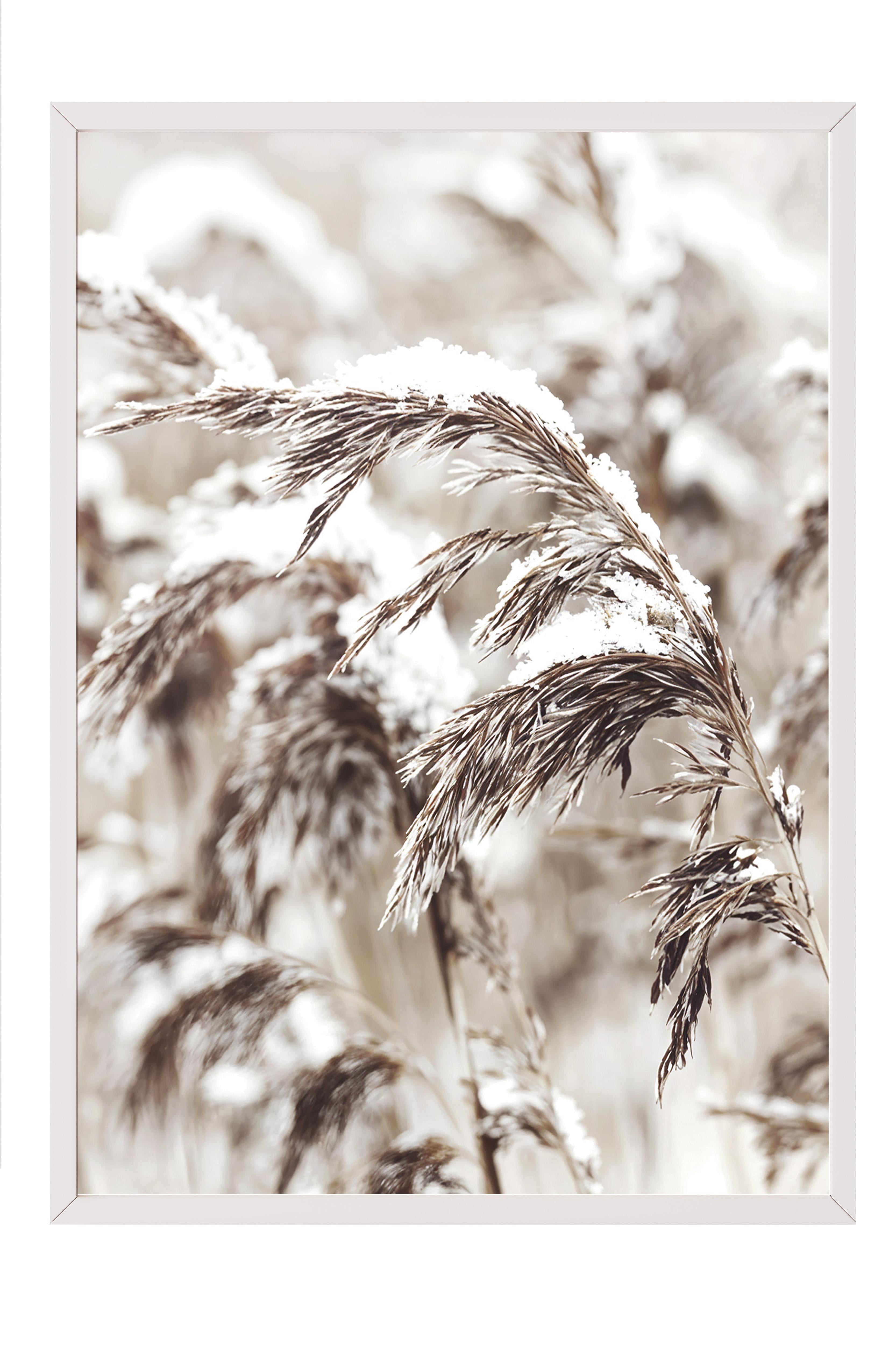 Snowy Reed Yılbaşı Tablo, Beyaz Çerçeve ve Poster, Dikey Duvar Tablosu Comfort Serisi NO:108411
