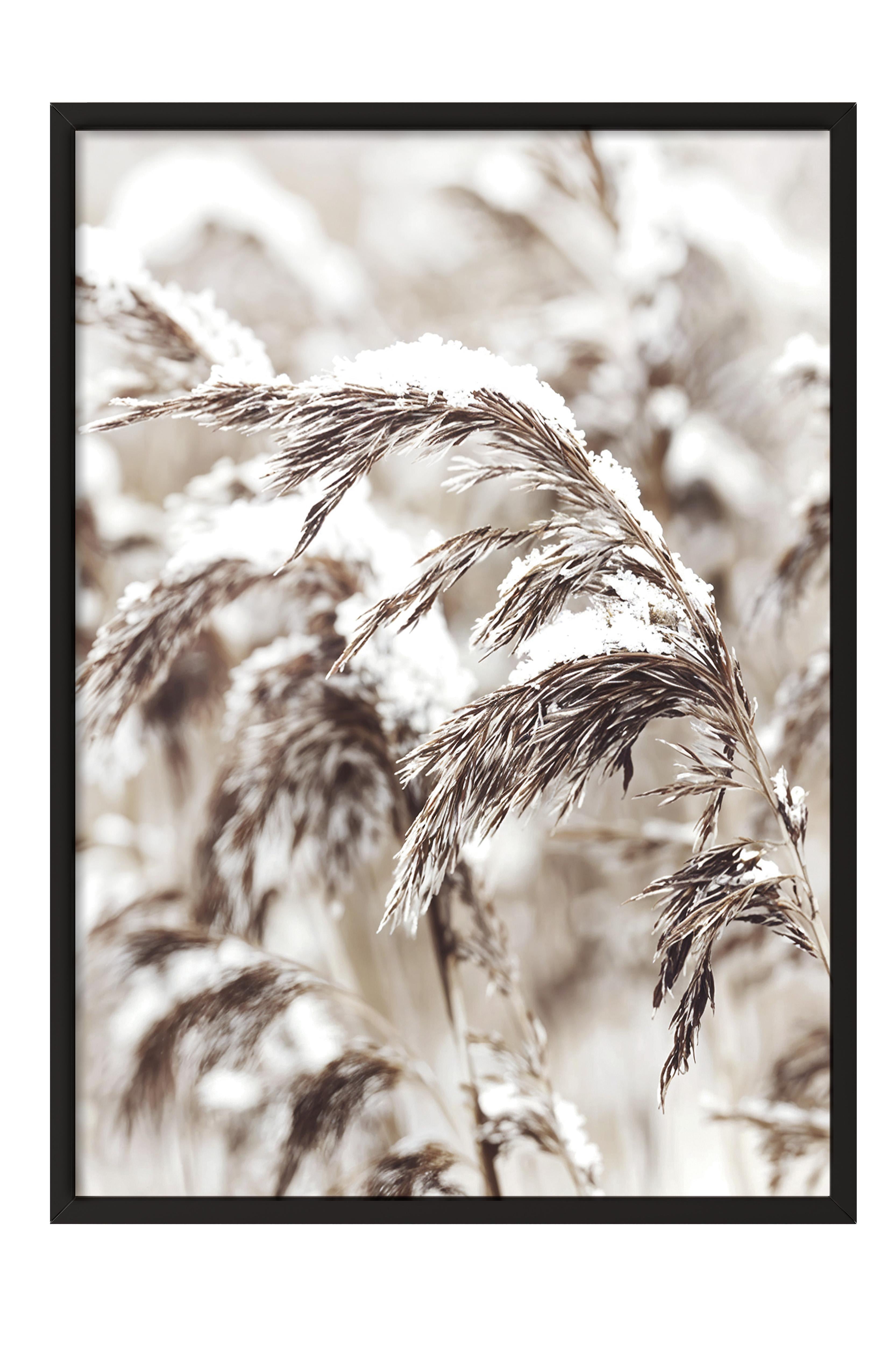 Snowy Reed Yılbaşı Tablo, Siyah Çerçeve ve Poster, Dikey Duvar Tablosu Comfort Serisi NO:108411