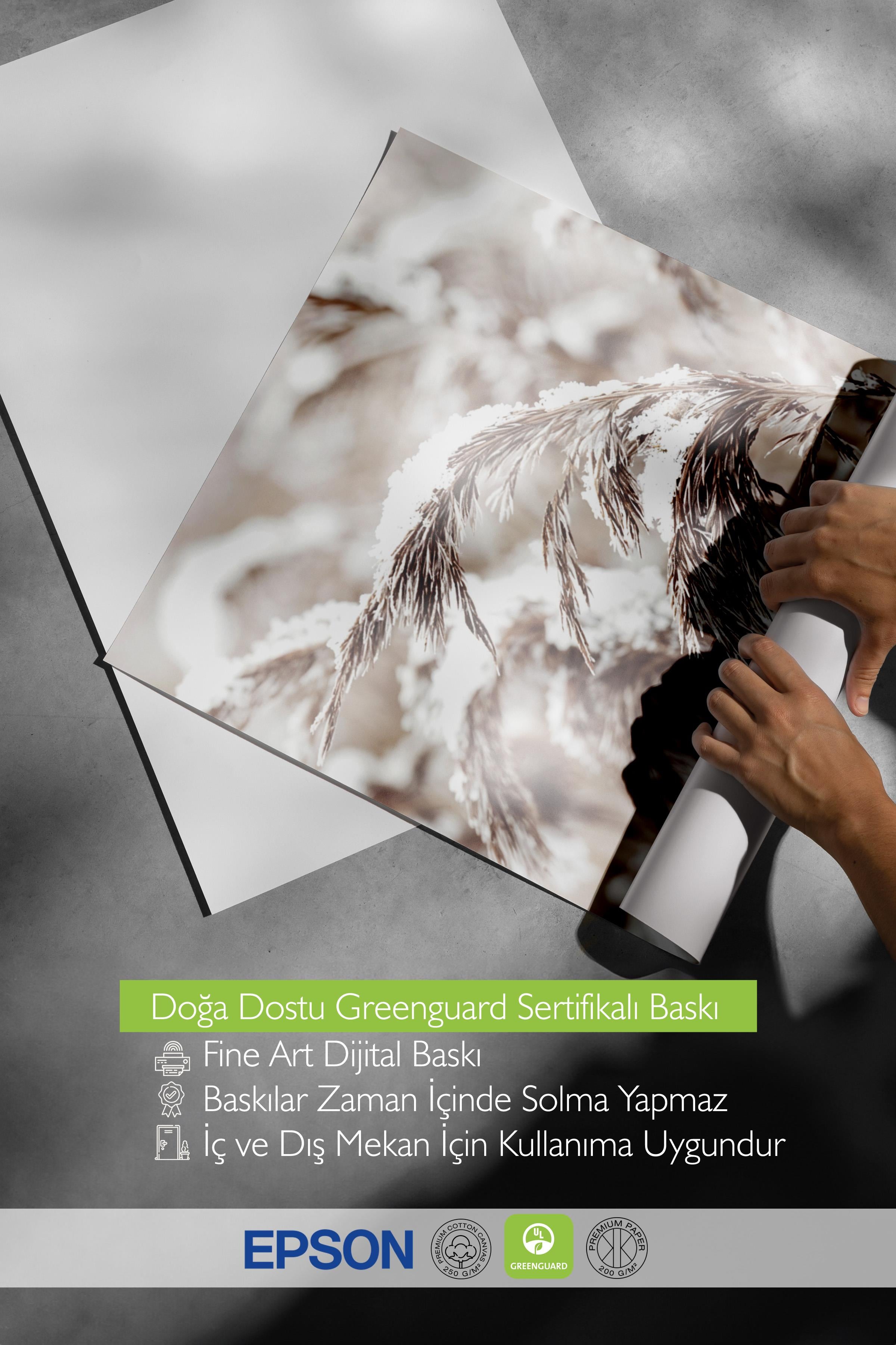 Snowy Reed Poster, Çerçevesiz Yılbaşı Posteri, Dikey Duvar Tablosu Comfort Serisi NO:108411