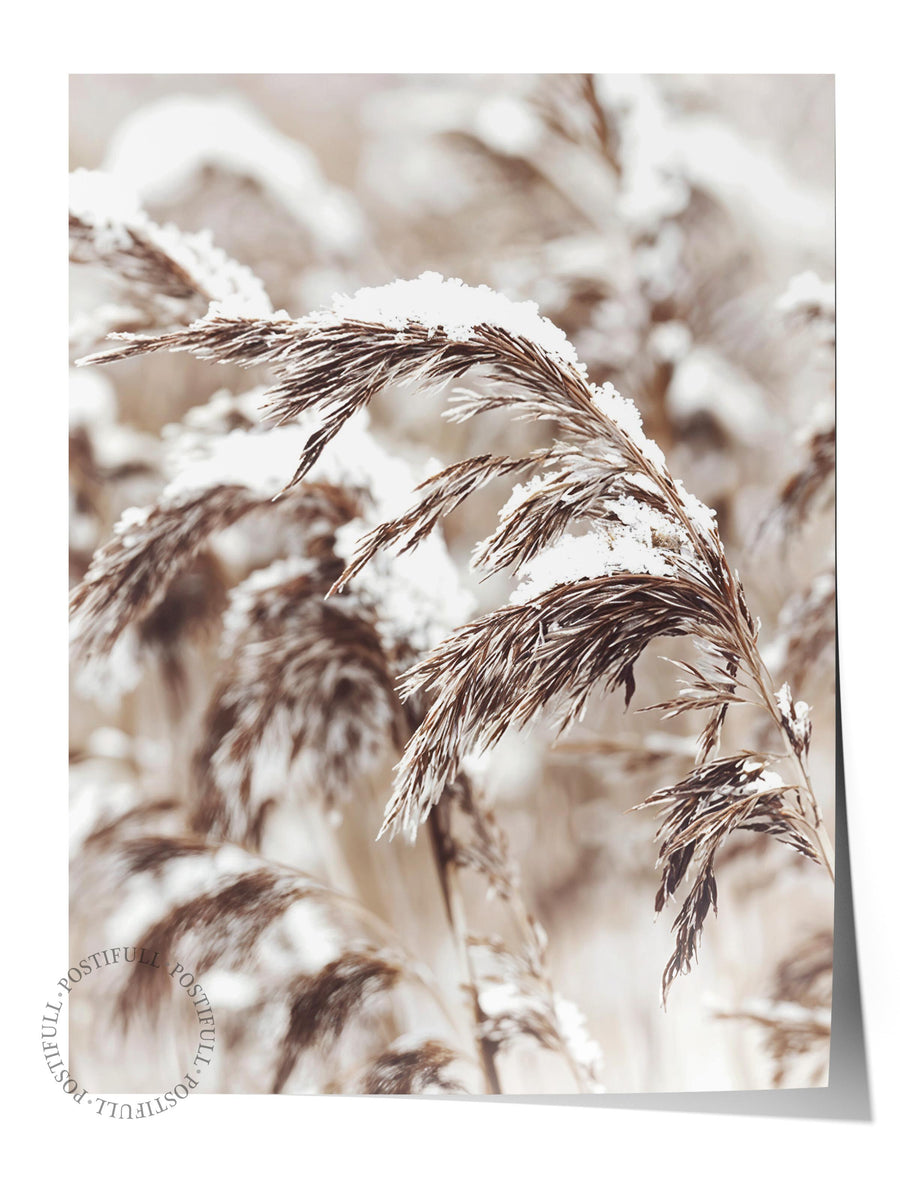 Snowy Reed Poster, Çerçevesiz Yılbaşı Posteri, Dikey Duvar Tablosu Comfort Serisi NO:108411