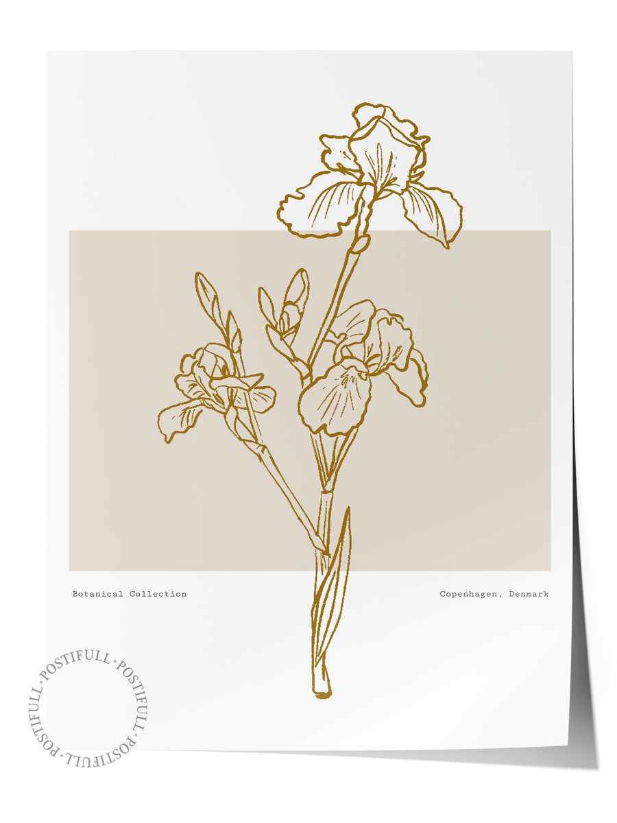 Botanik Çizimi Bohem & Boho Çerçevesiz Poster