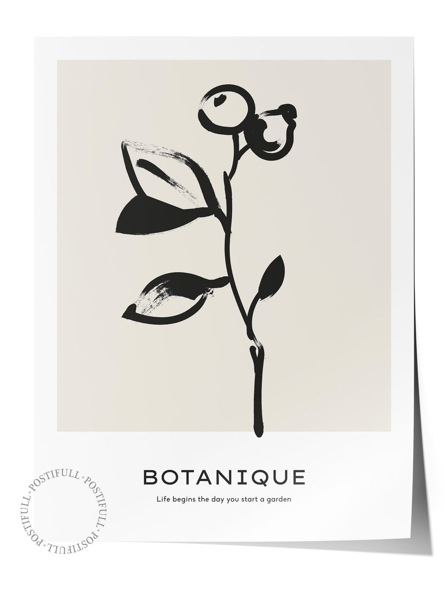 Farklı Tonlarda BOTANIQUE Bohem & Boho Çerçevesiz Poster