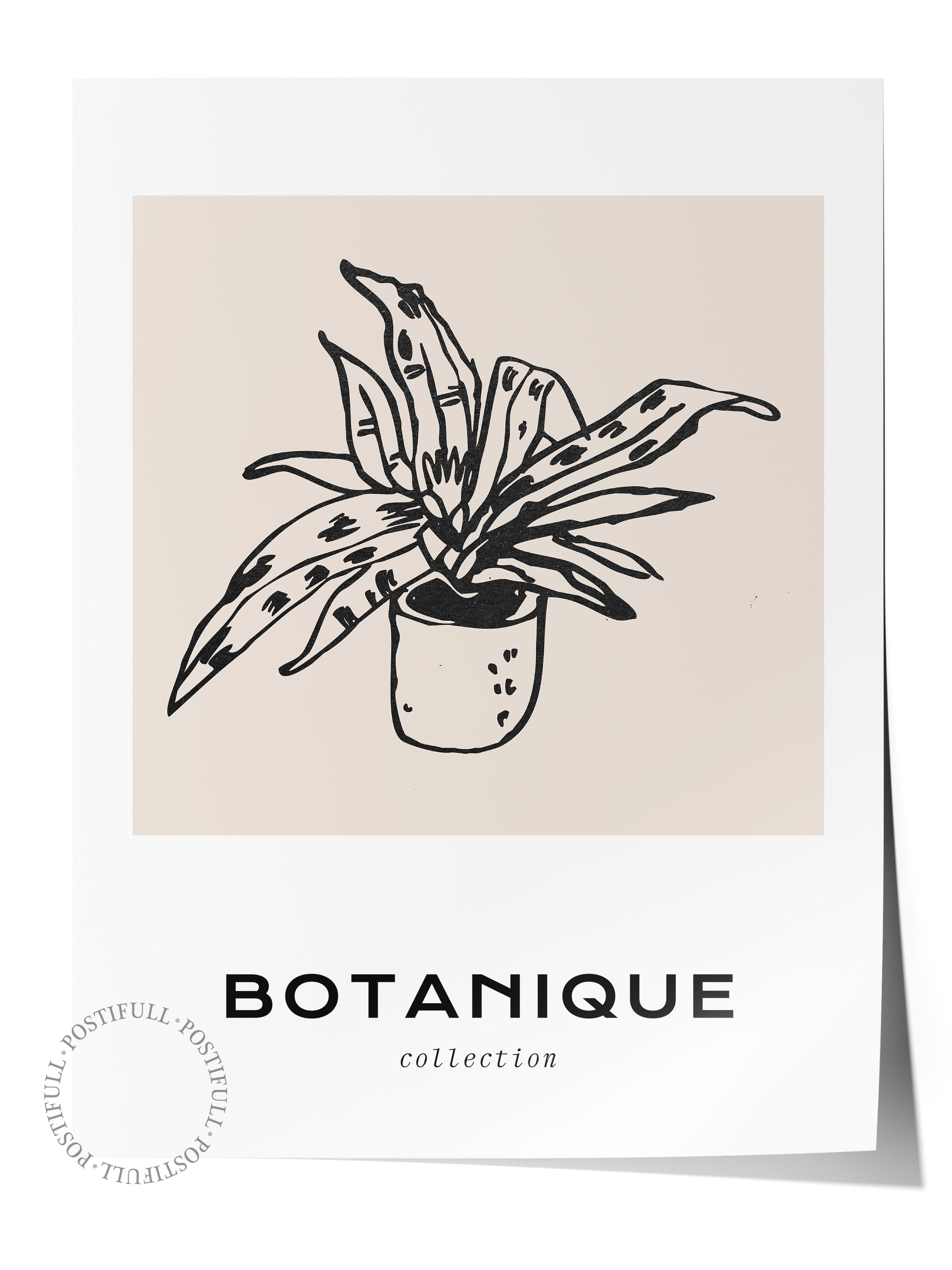 Soft Boho Çerçevesiz Duvar Posteri, İskandinav Temalı Poster - Salon, Mutfak ve Yatak Odası Dekoru