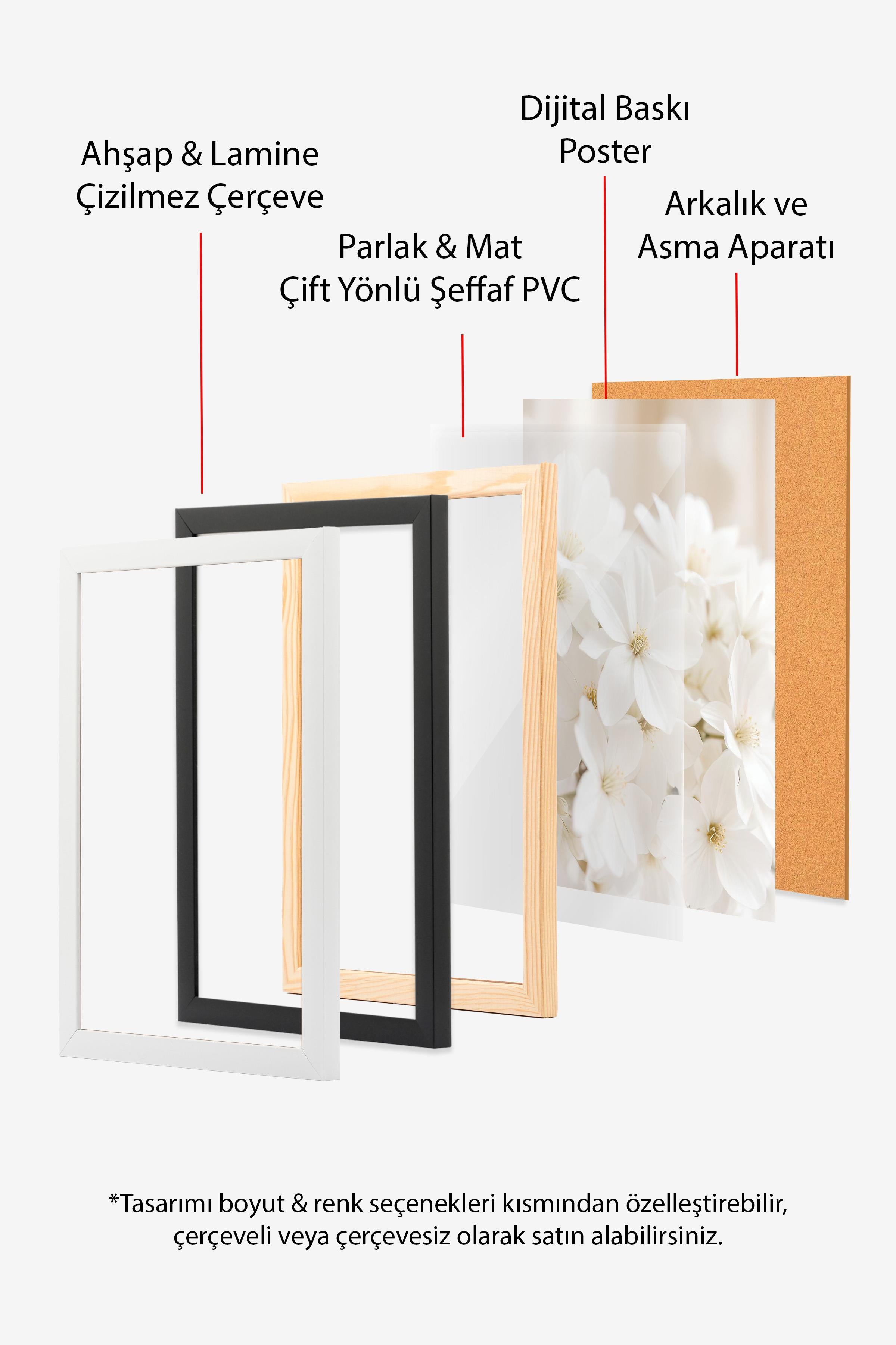 Soft White Bloom Çerçeveli Tablo, Beyaz Çerçeve ve Poster, Duvar Tablosu Comfort Serisi NO:108344