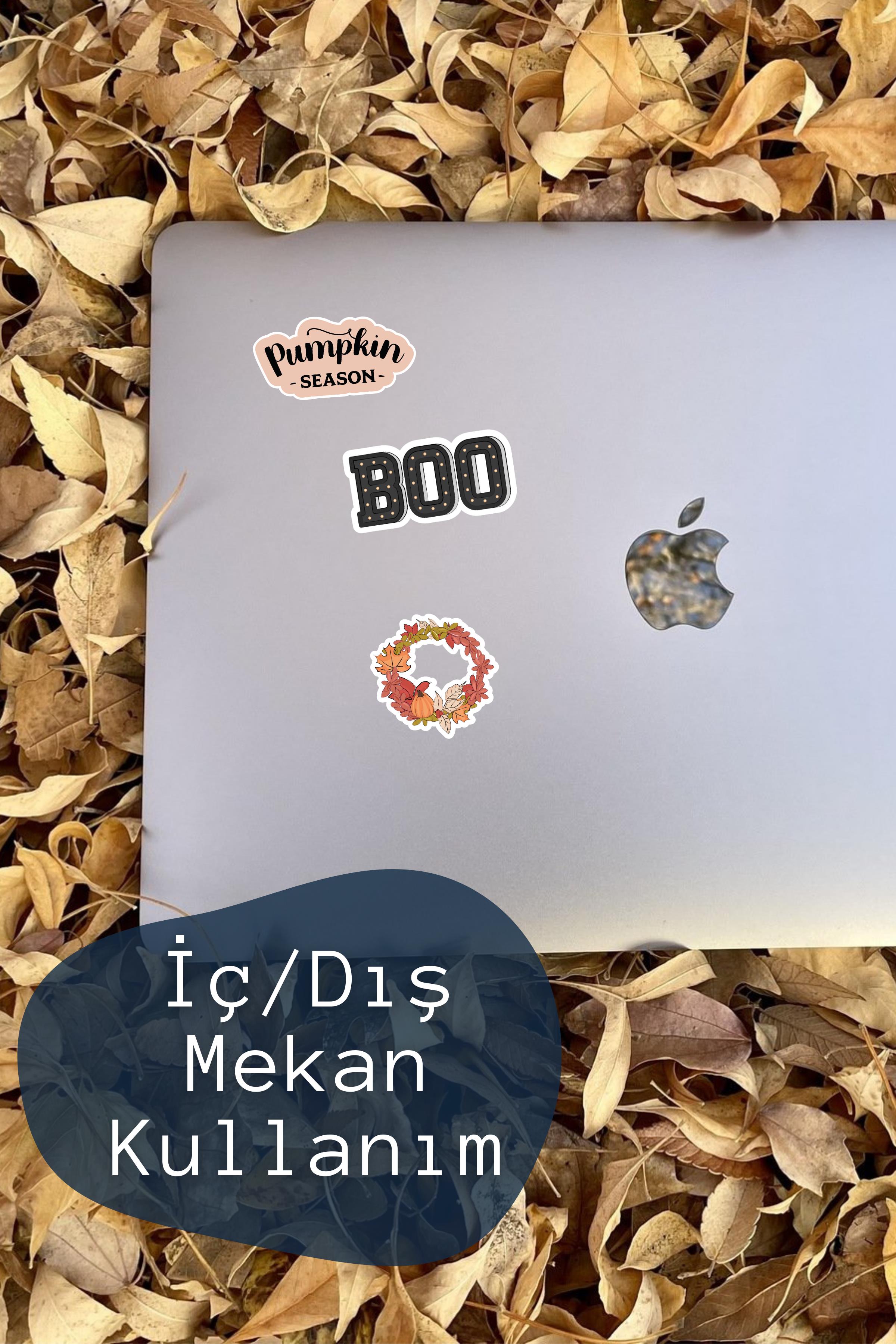 Sonbahar - Pumpkin Temalı Sticker ve Etiket Seti - Orta Boy - Su Geçirmez, Kalın Yapışkanlı Sticker