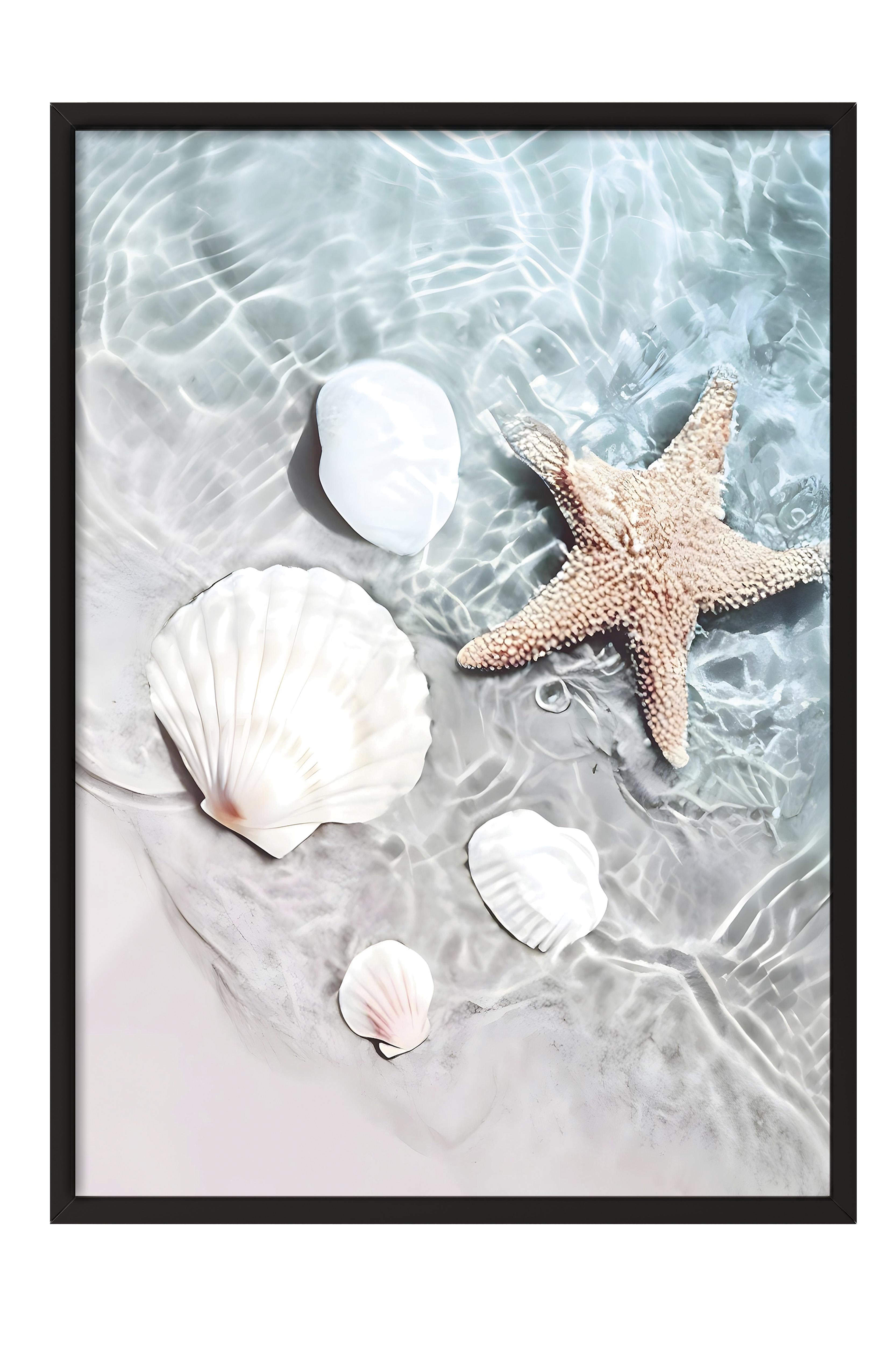 Starfish and Seashell Siyah Çerçeveli Tablo, Duvar Tablosu Comfort Serisi NO:108423