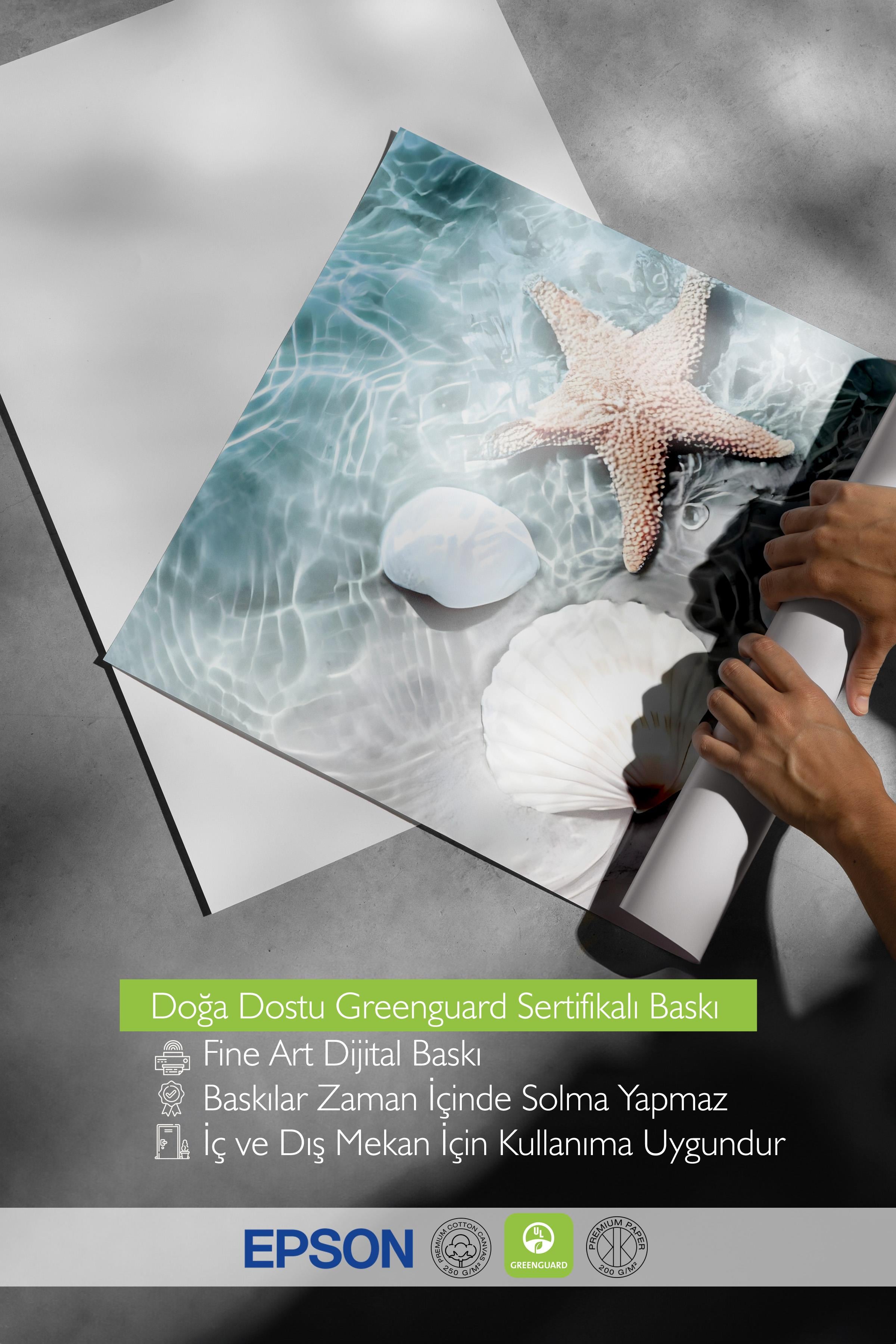 Starfish and Seashell Poster, Dikey Duvar Tablosu Comfort Serisi NO:108423