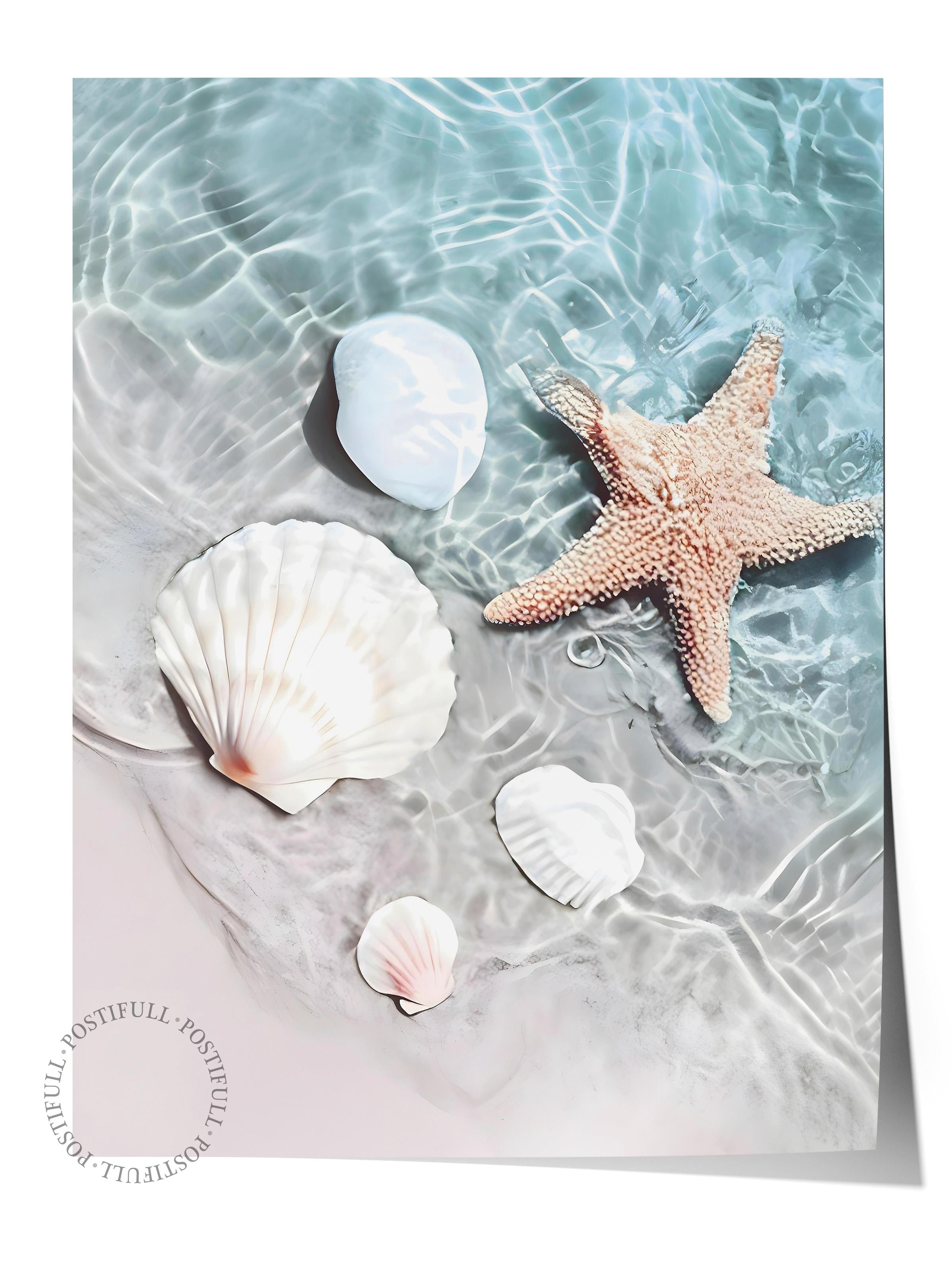 Starfish and Seashell Poster, Dikey Duvar Tablosu Comfort Serisi NO:108423