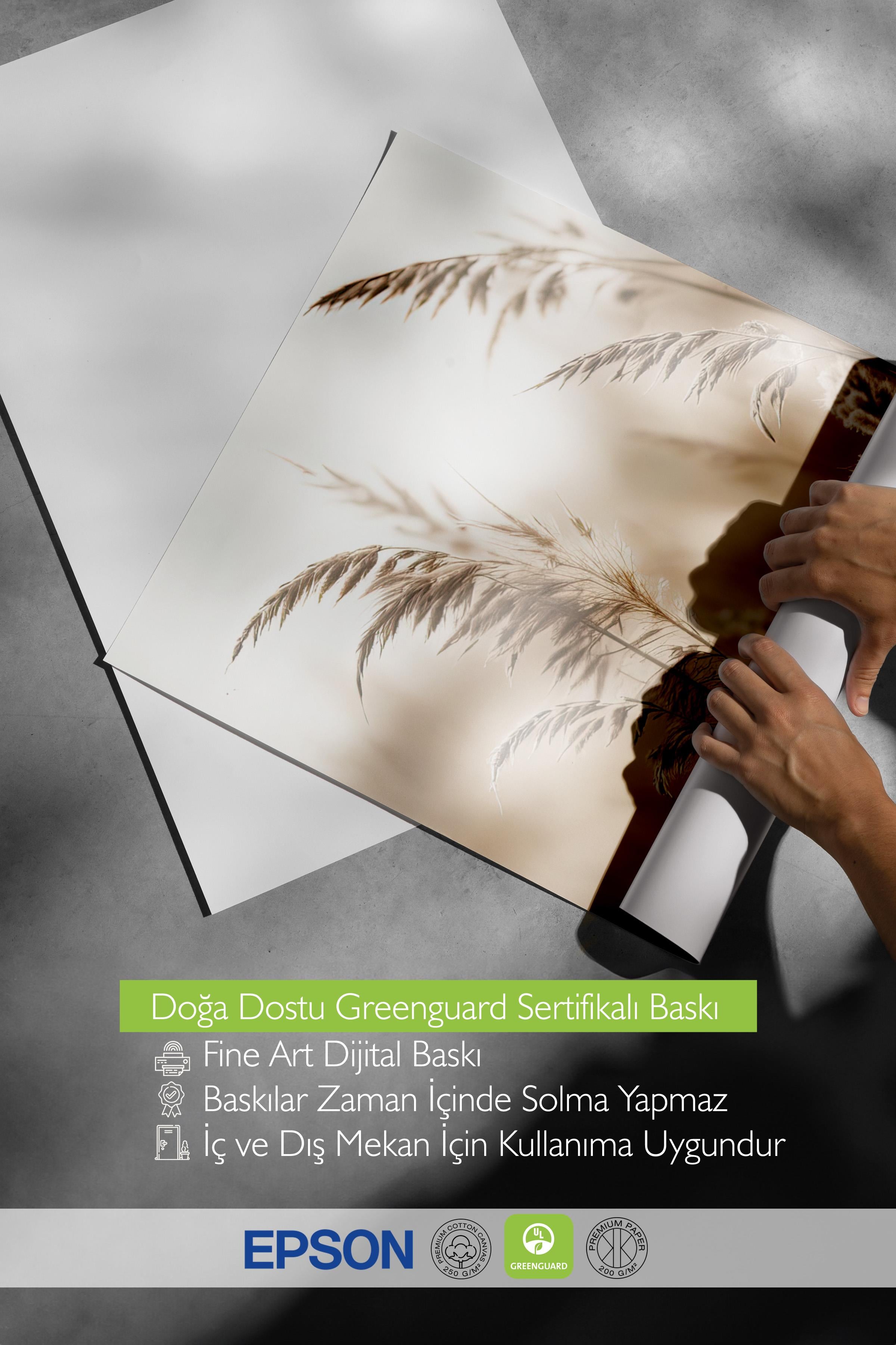 Sunlight Reed Poster, Çerçevesiz Duvar Posteri, Dikey Duvar Tablosu Comfort Serisi NO:108409