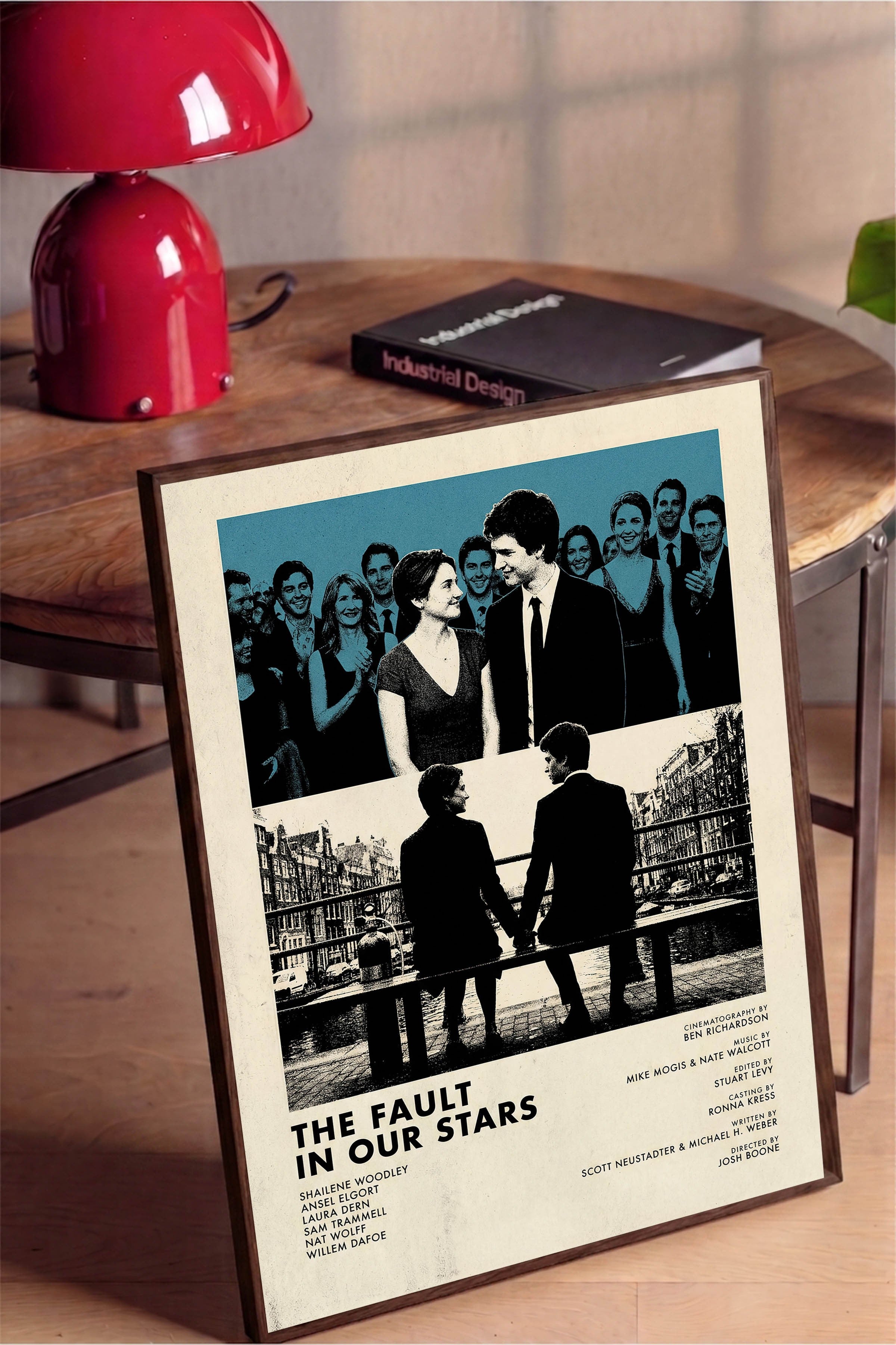 The Fault in Our Stars Kahverengi Çerçeveli Poster, Sinema ve Dizi Tablo, Film Dizi Afişleri NO:112826
