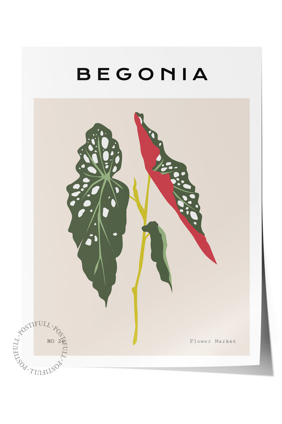 BEGONIA Tropikal İllustrasyon Çerçevesiz Poster