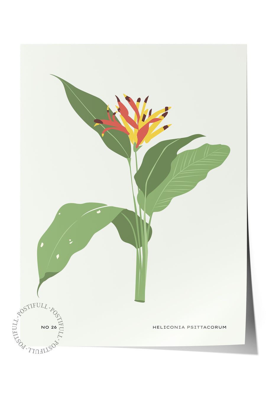 Heliconia Psittacorum Tropikal İllustrasyon Çerçevesiz Poster