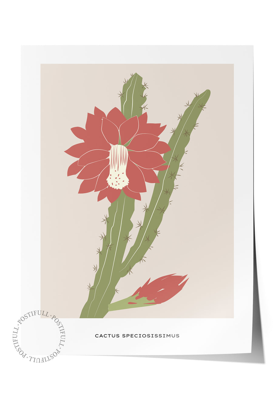 CACTUS SPECIOSISSIMUS Tropikal İllustrasyon Çerçevesiz Poster