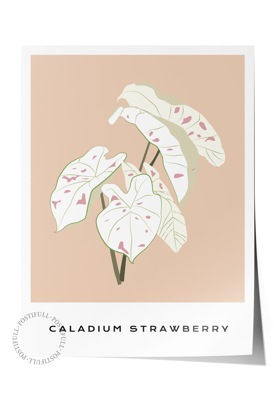 CALADIUM STRAWBERRY Tropikal İllustrasyon Çerçevesiz Poster