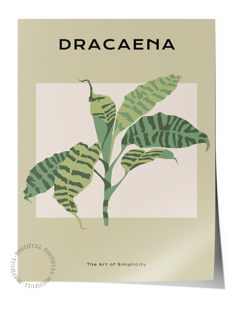 Dracaena Tropikal İllustrasyon Çerçevesiz Poster