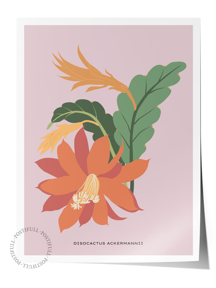 Disocactus Ackermannii Tropikal İllustrasyon Çerçevesiz Poster