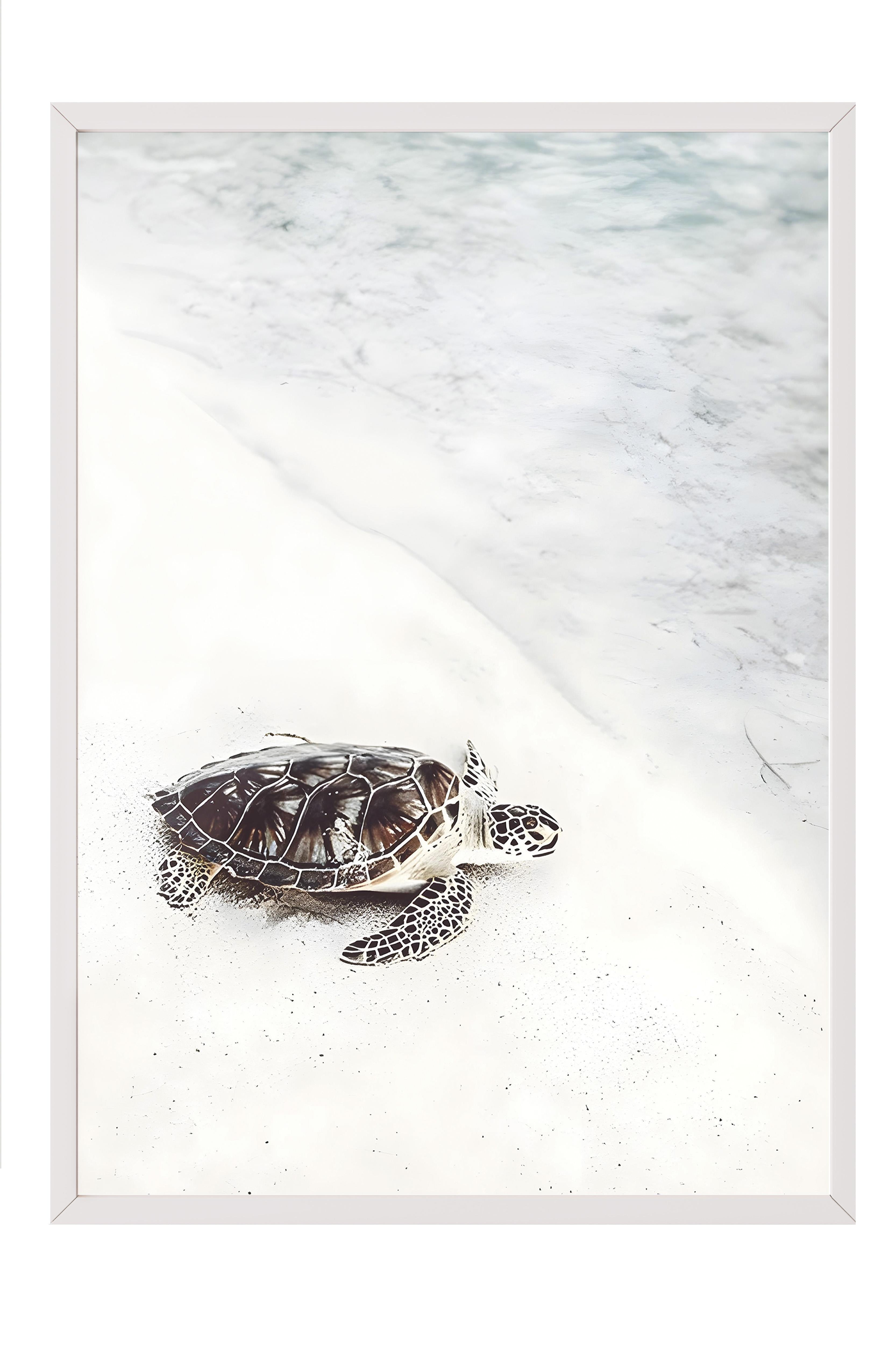 Turtle on the Beach Çerçeveli Tablo, Beyaz Çerçeve ve Poster, Duvar Tablosu Comfort Serisi NO:108422