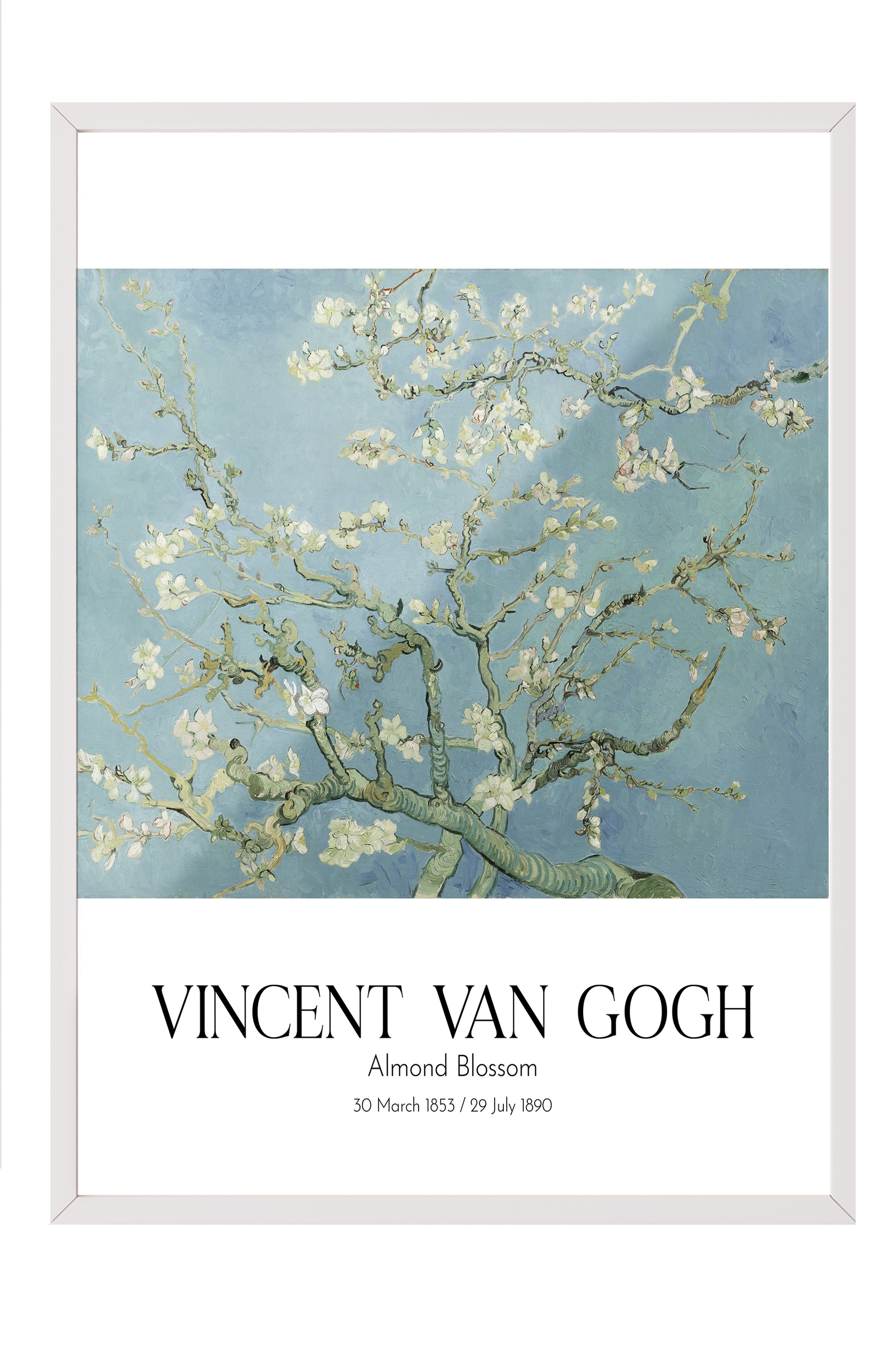 Vincent Van Gogh - Almond Blossom, Beyaz Çerçeveli Tablo, Sanat Serisi NO:110593