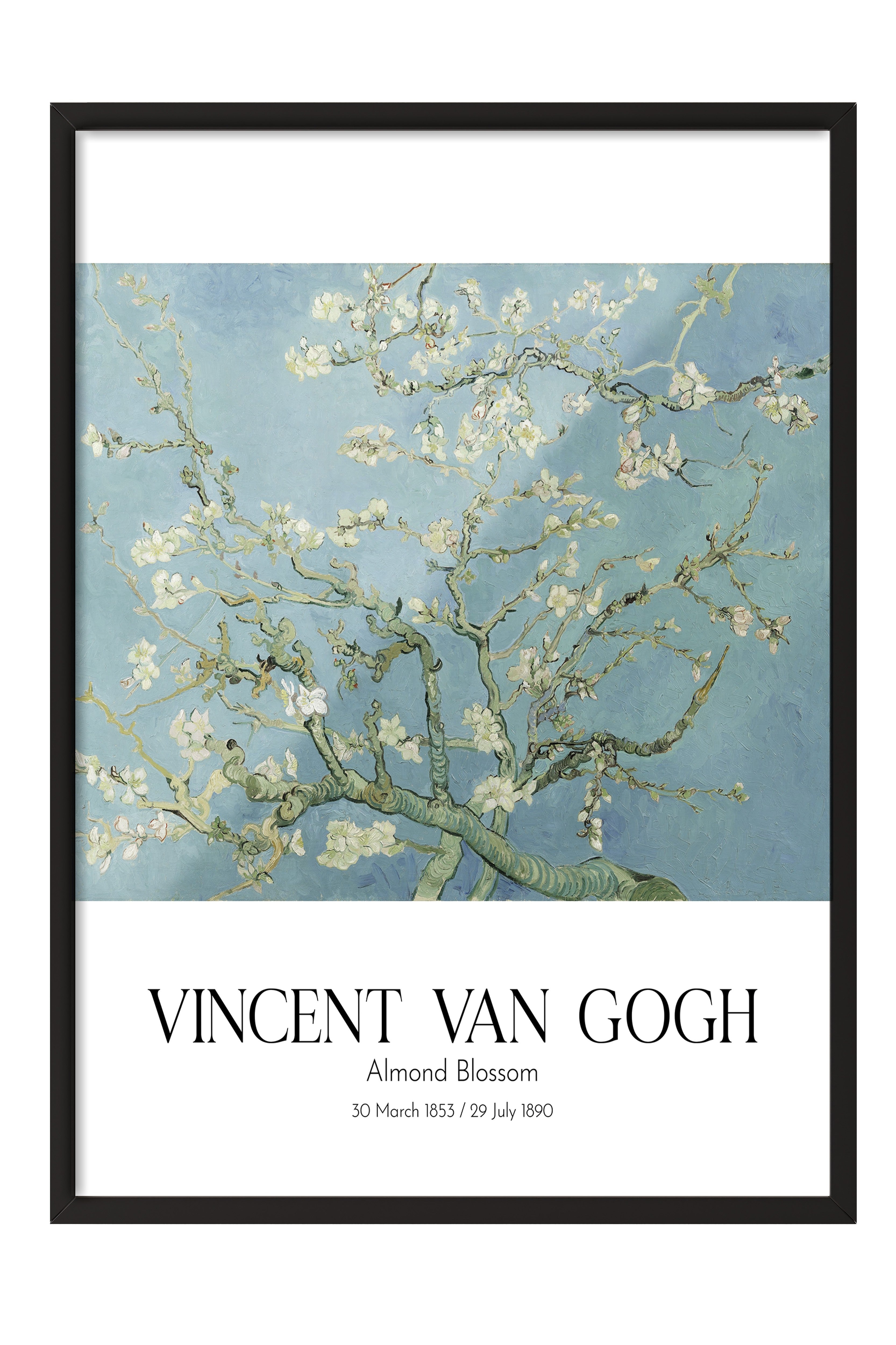 Vincent Van Gogh - Almond Blossom, Siyah Çerçeveli Tablo, Sanat Serisi NO:110593