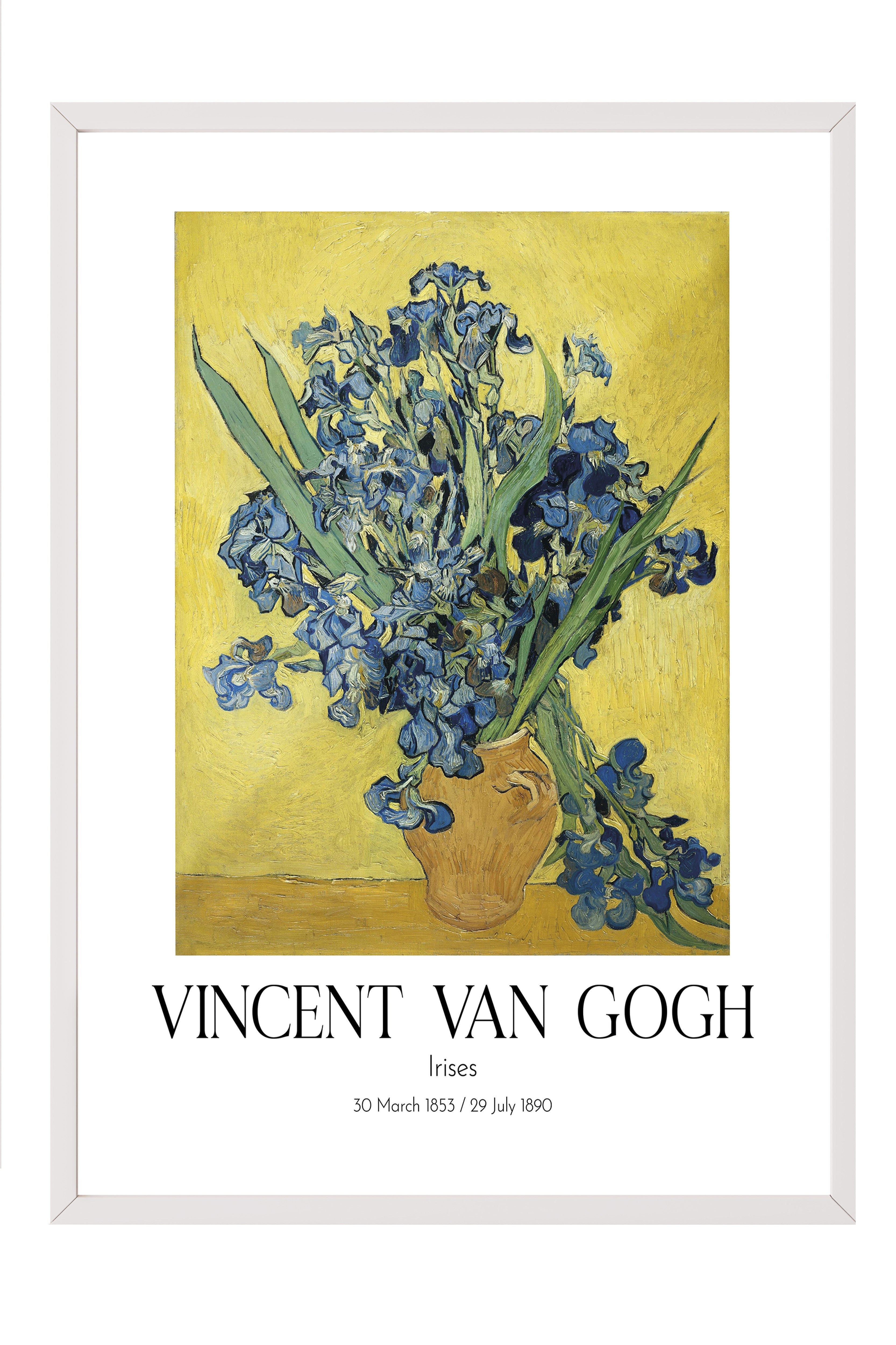 Vincent Van Gogh - Irises, Beyaz Çerçeveli Tablo, Sanat Serisi NO:110606
